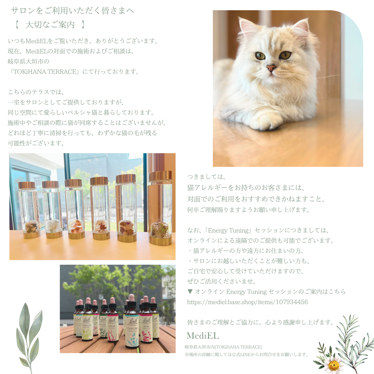 【 サロンをご利用いただく皆さまへ｜大切なご案内 ：猫のこと】
