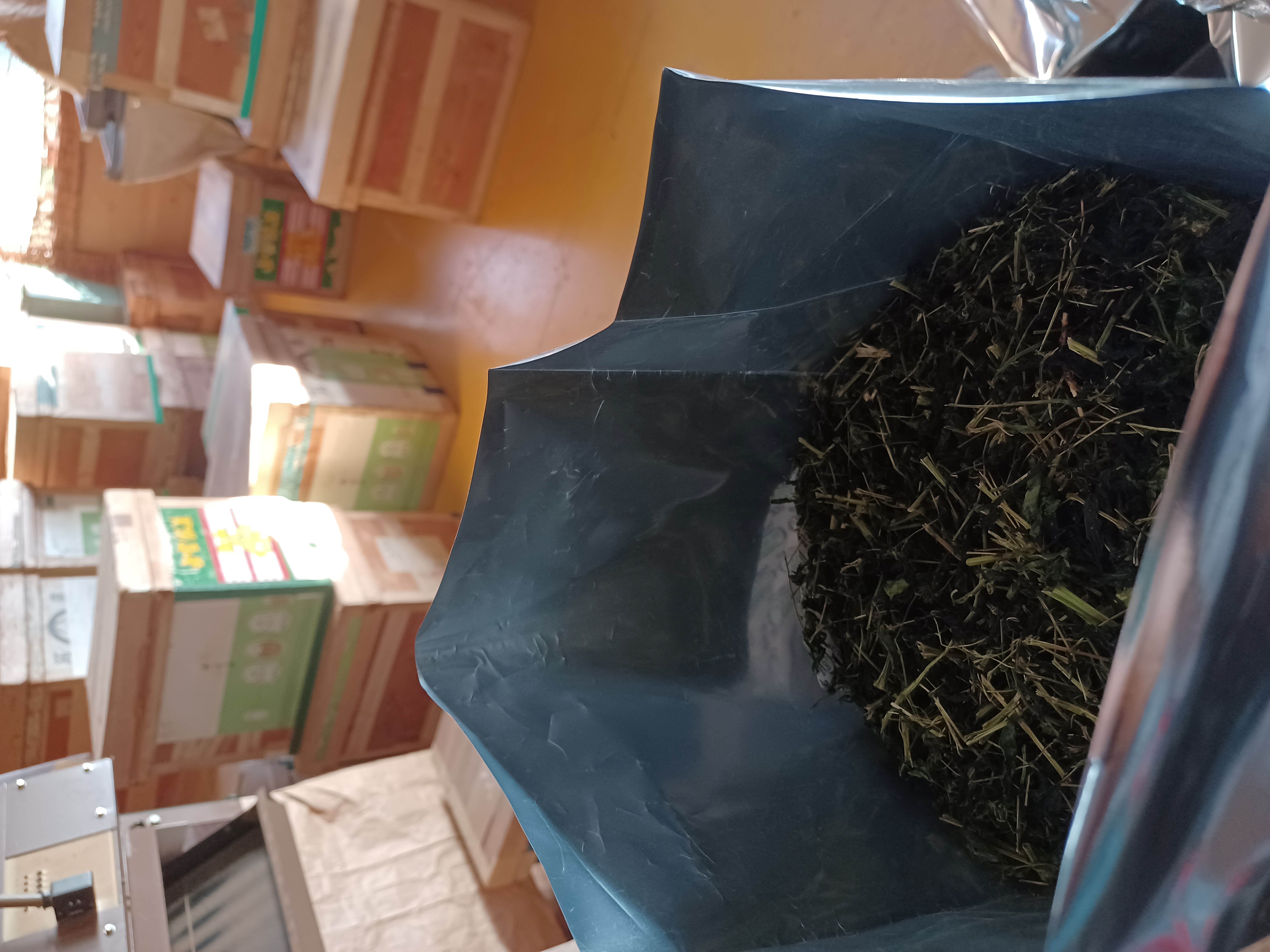 はぶ草茶第一弾の収穫が終了！ 夕暮れ〜朝にかけて、手仕事と里山の循環を感じて