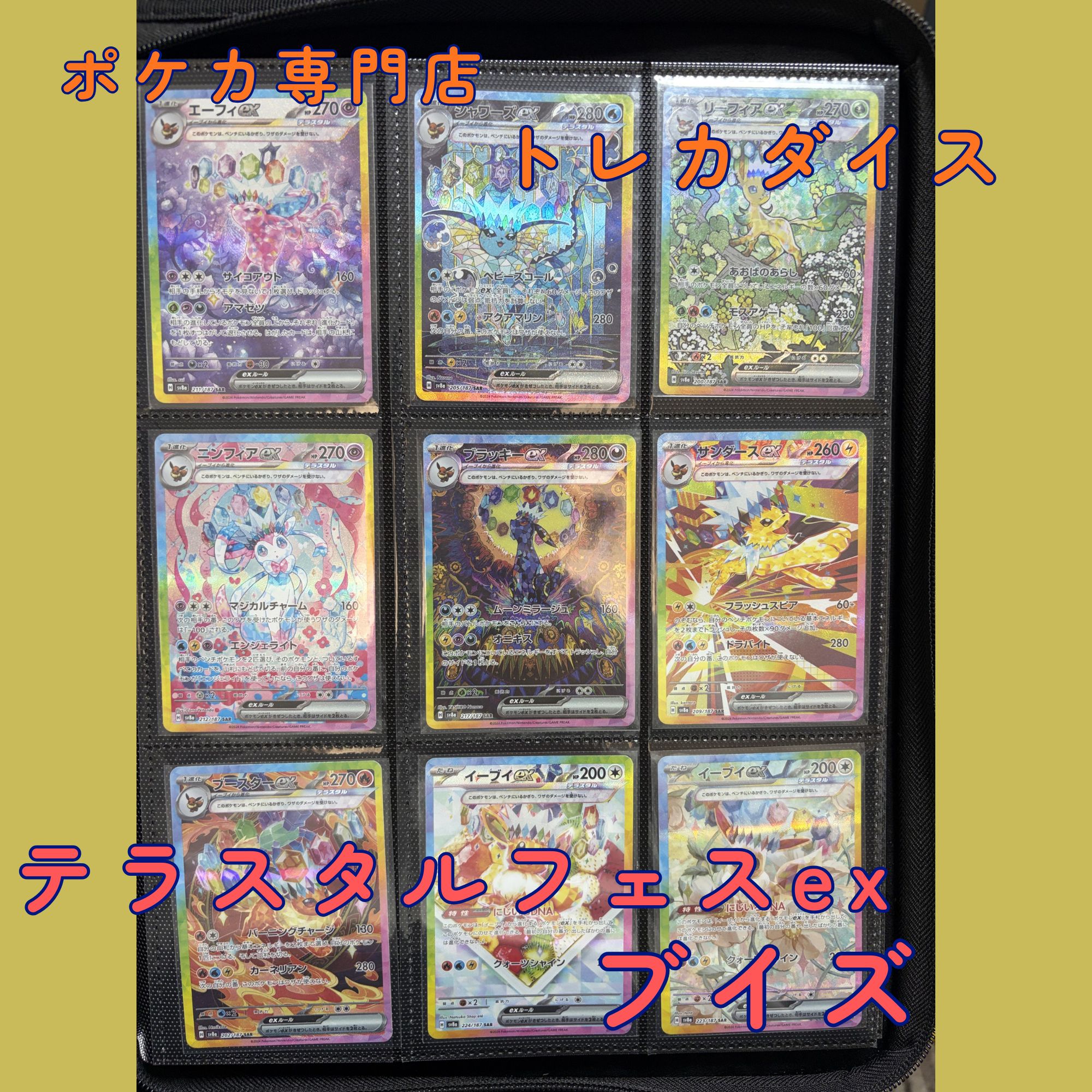 ブイズはいかがですか??