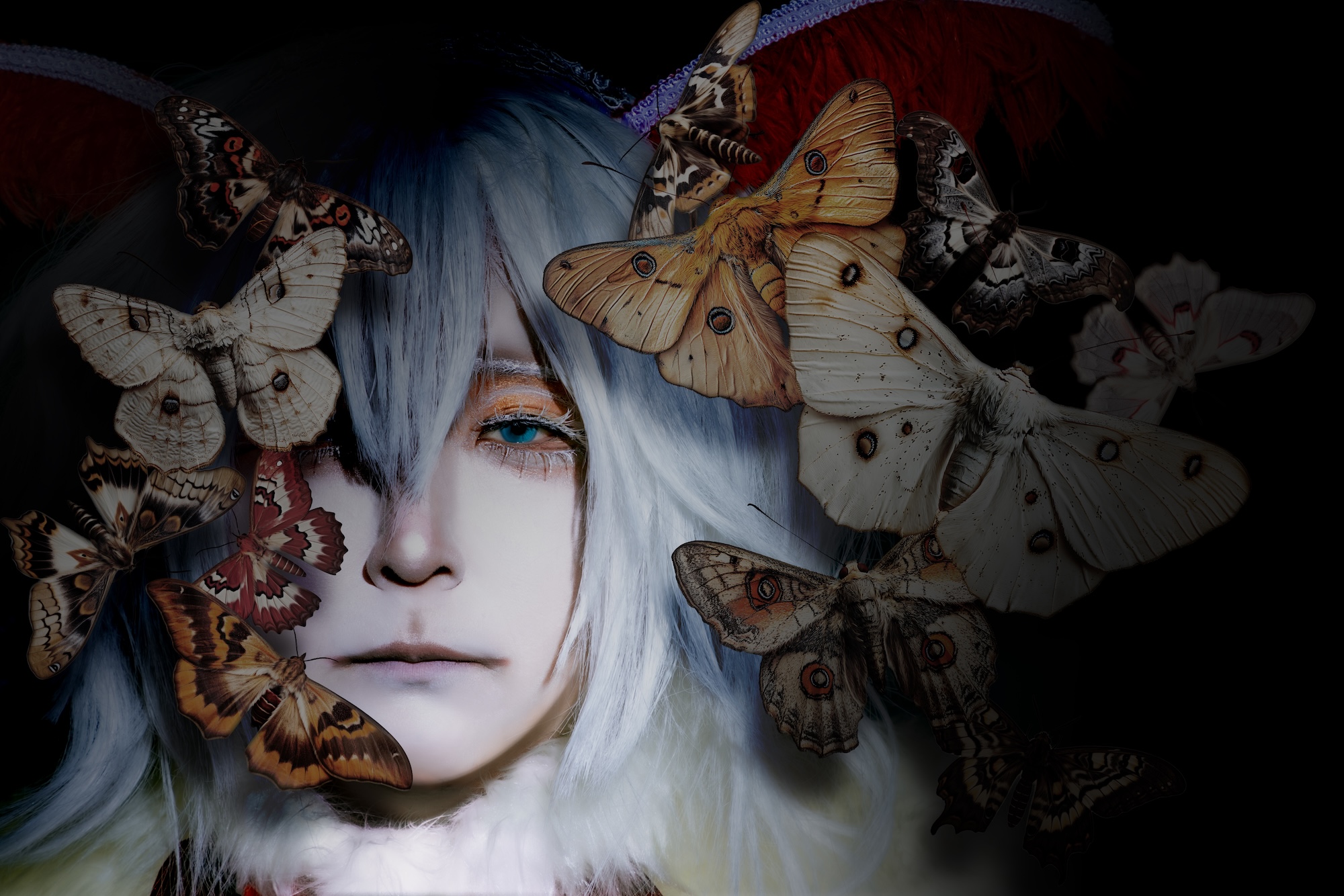 【大阪店】2/4開催 ホンモノ「蛾」発売記念インストアイベント開催決定！！