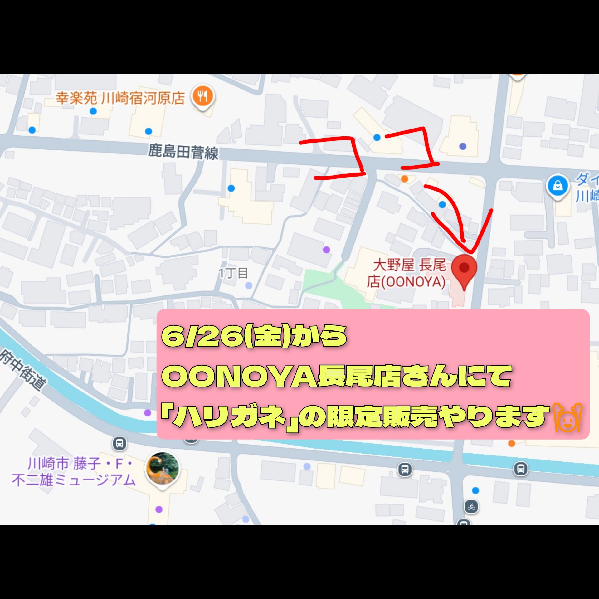OONOYA長尾店さんにて「ハリガネ」限定販売!