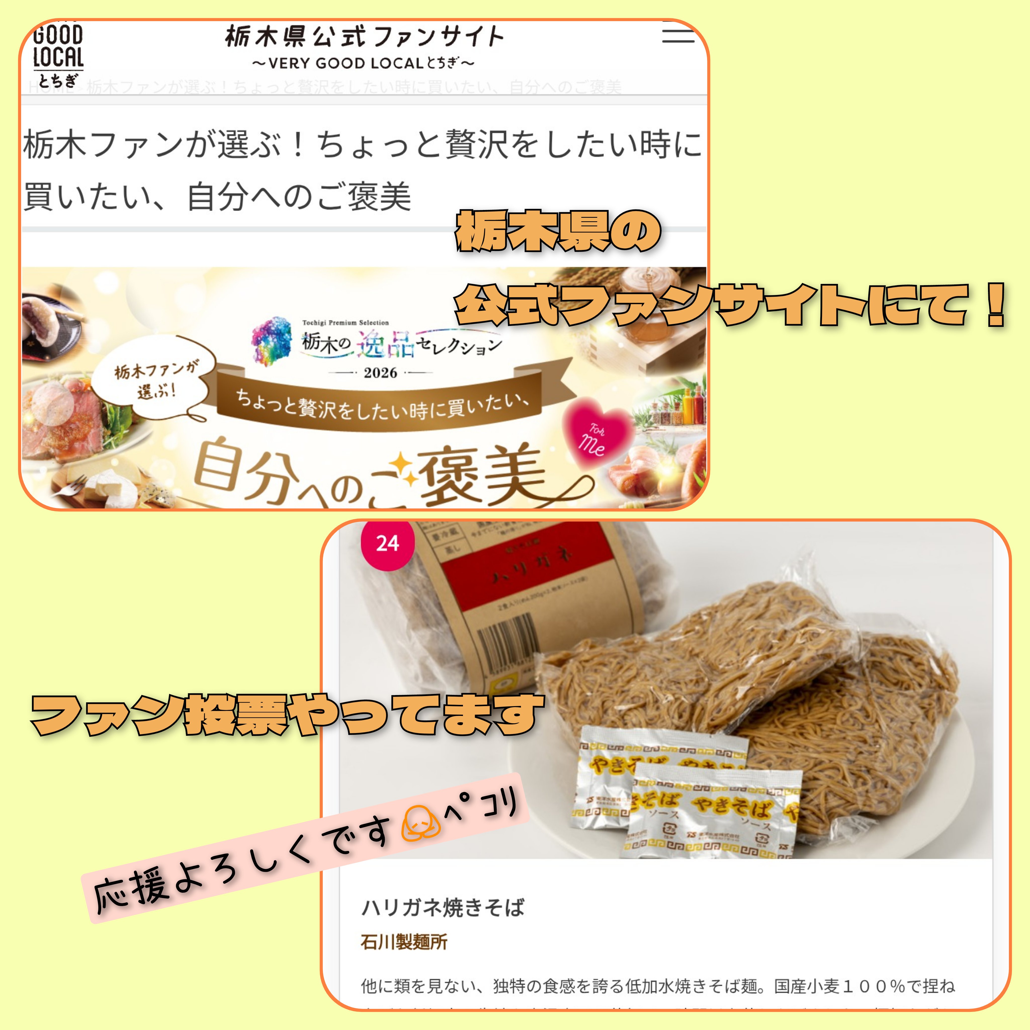 ファン投票開催中!