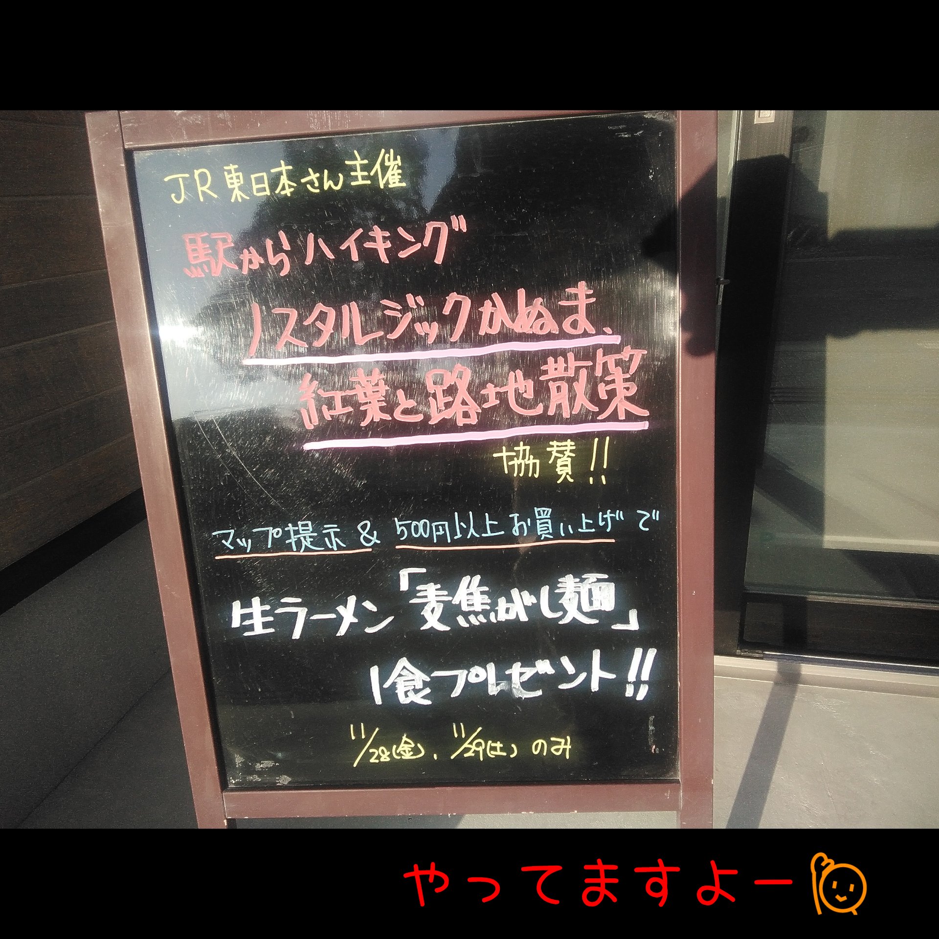駅からハイキング ノスタルジックかぬま、紅葉と路地散策!