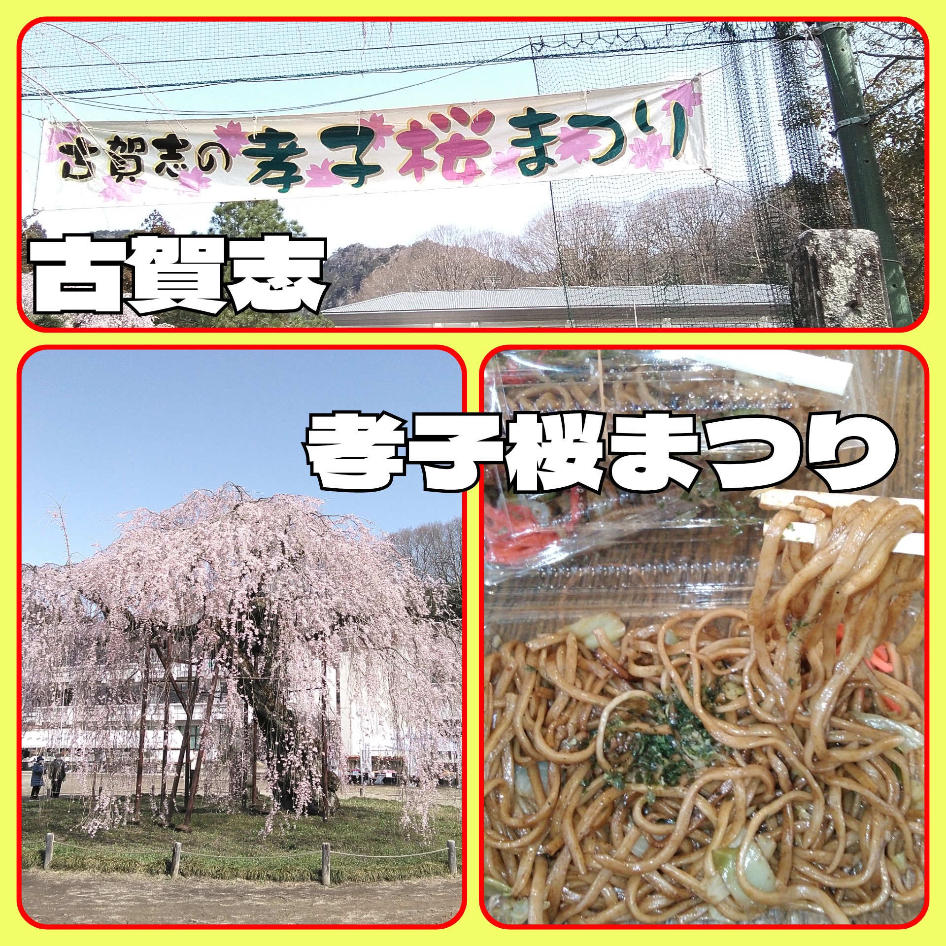 2025/3/30　日曜定休