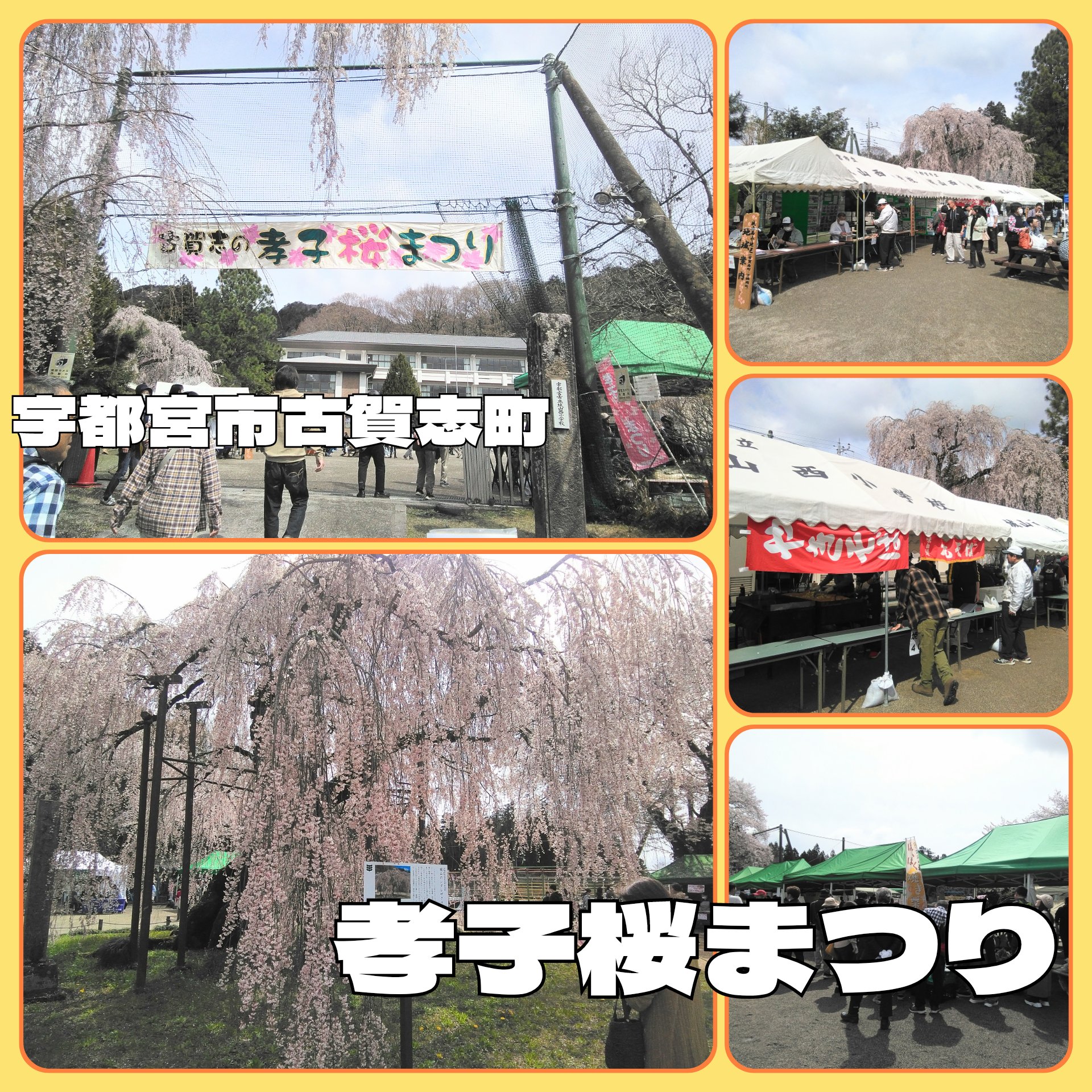 2026/4/5 日曜定休