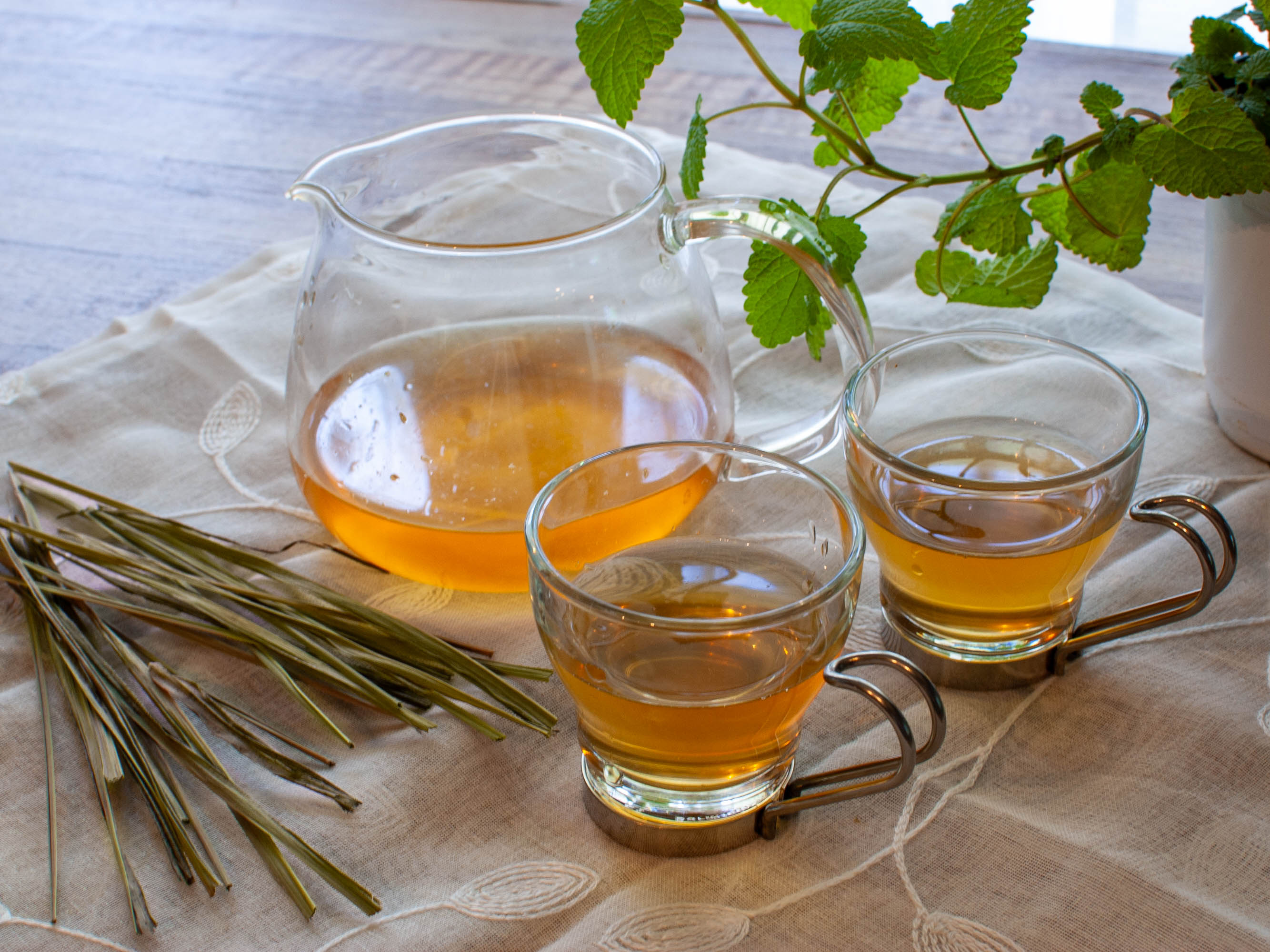 体調や気分に合わせて選べるグリーンルイボスシリーズ