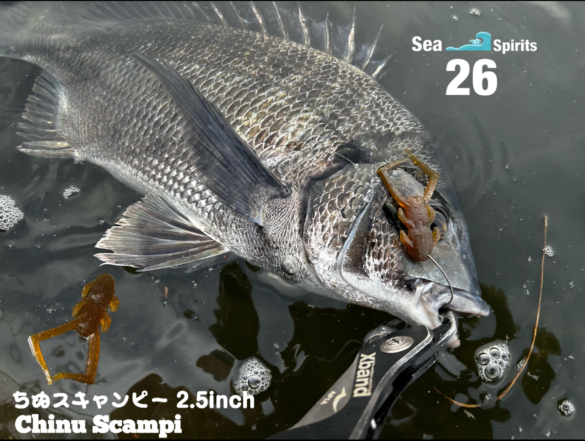 【ちぬスキャンピー2.5inch】について!!