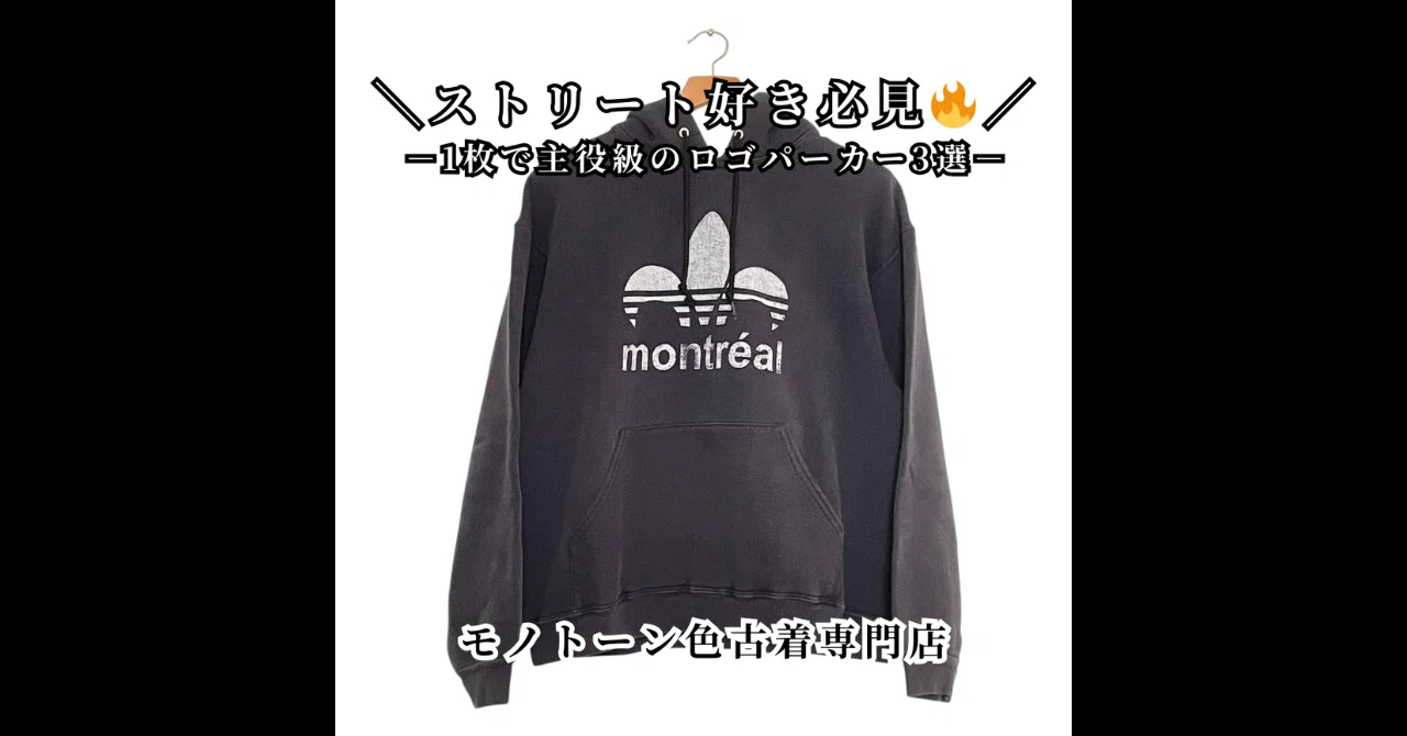 🎵 秋におすすめ!存在感抜群のモノトーンロゴパーカー3選