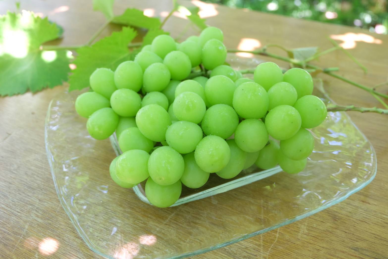 5.ぶどうの品種