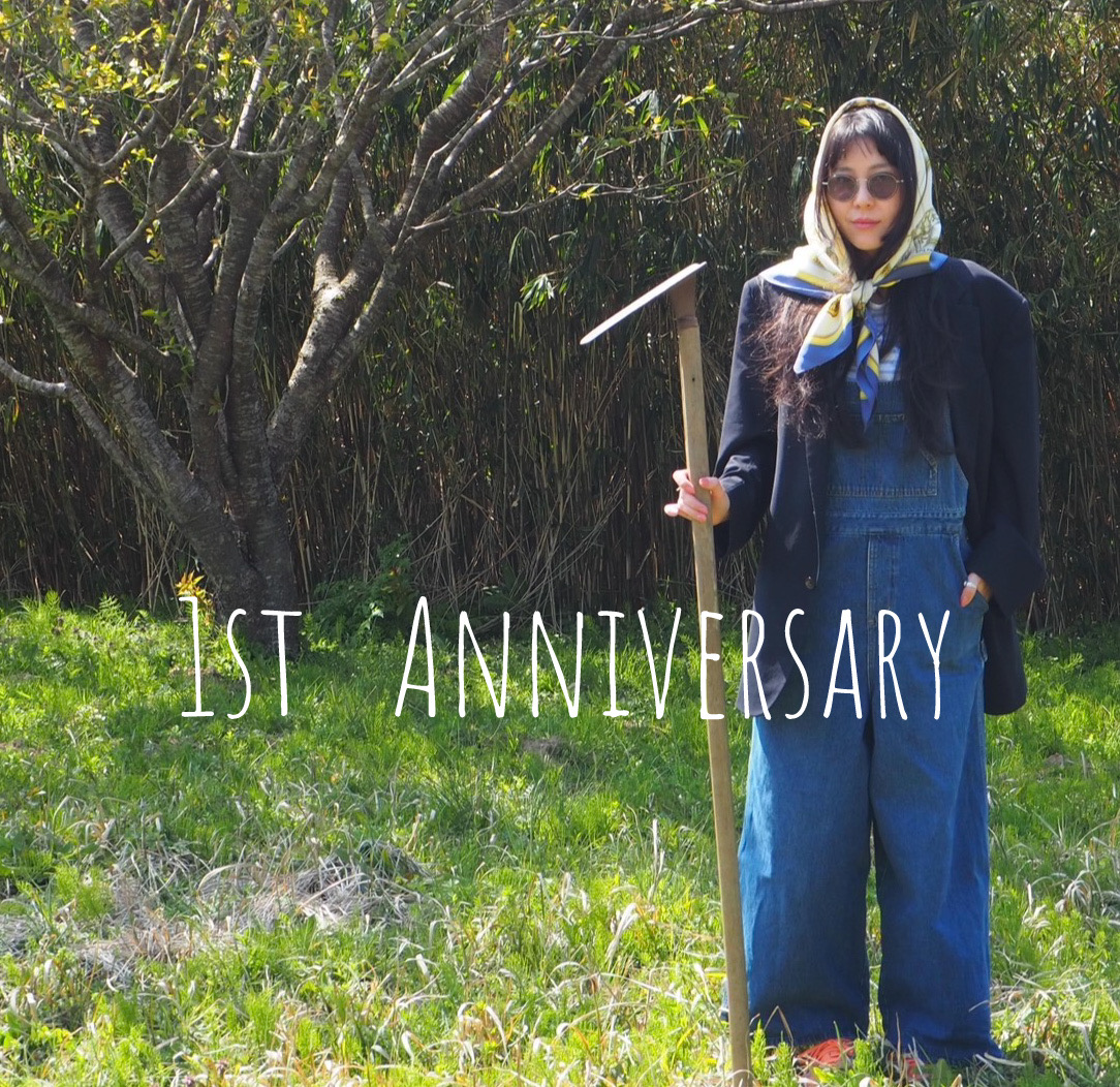 1st anniversary campaign