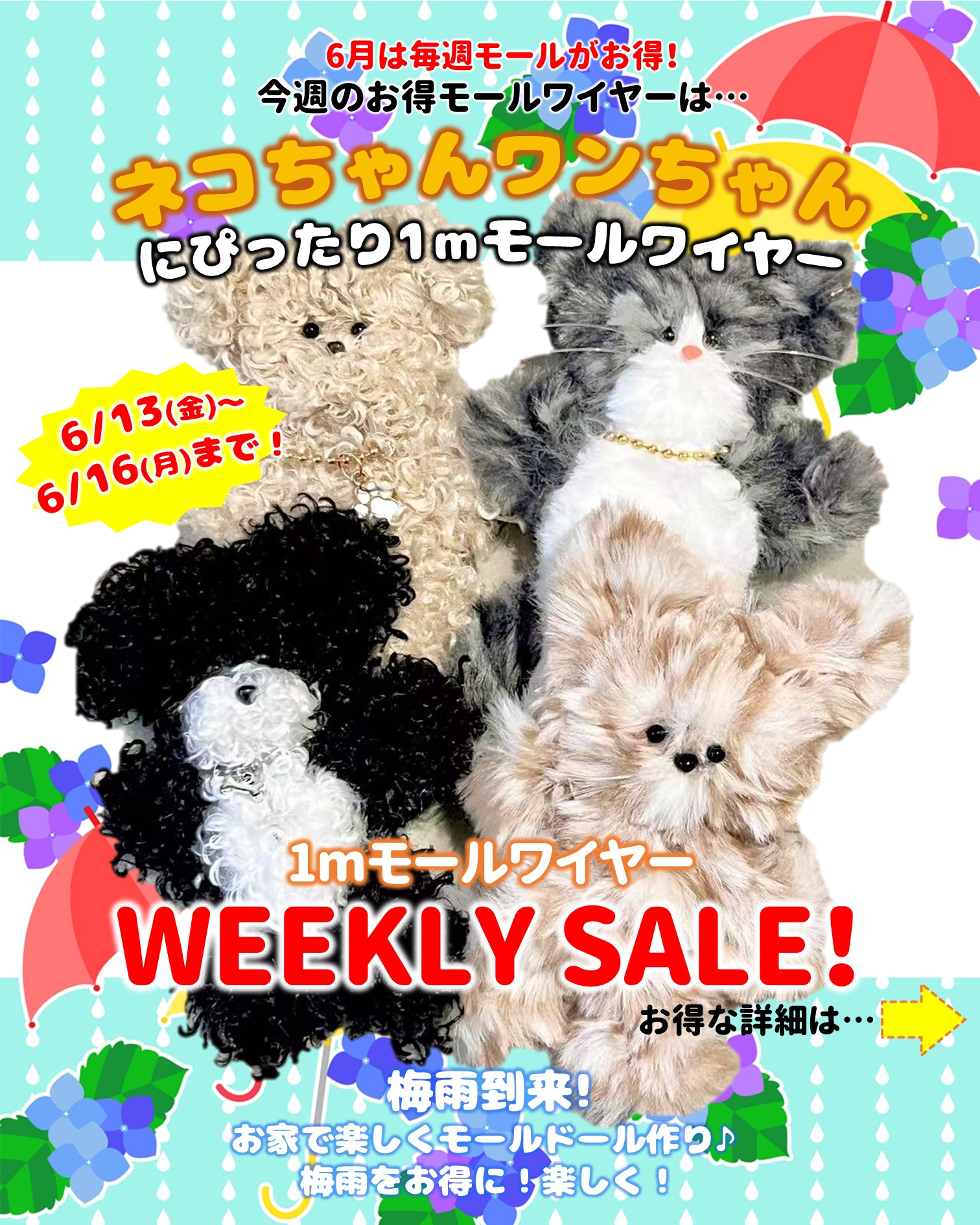 WEEKLY SALE第2弾！