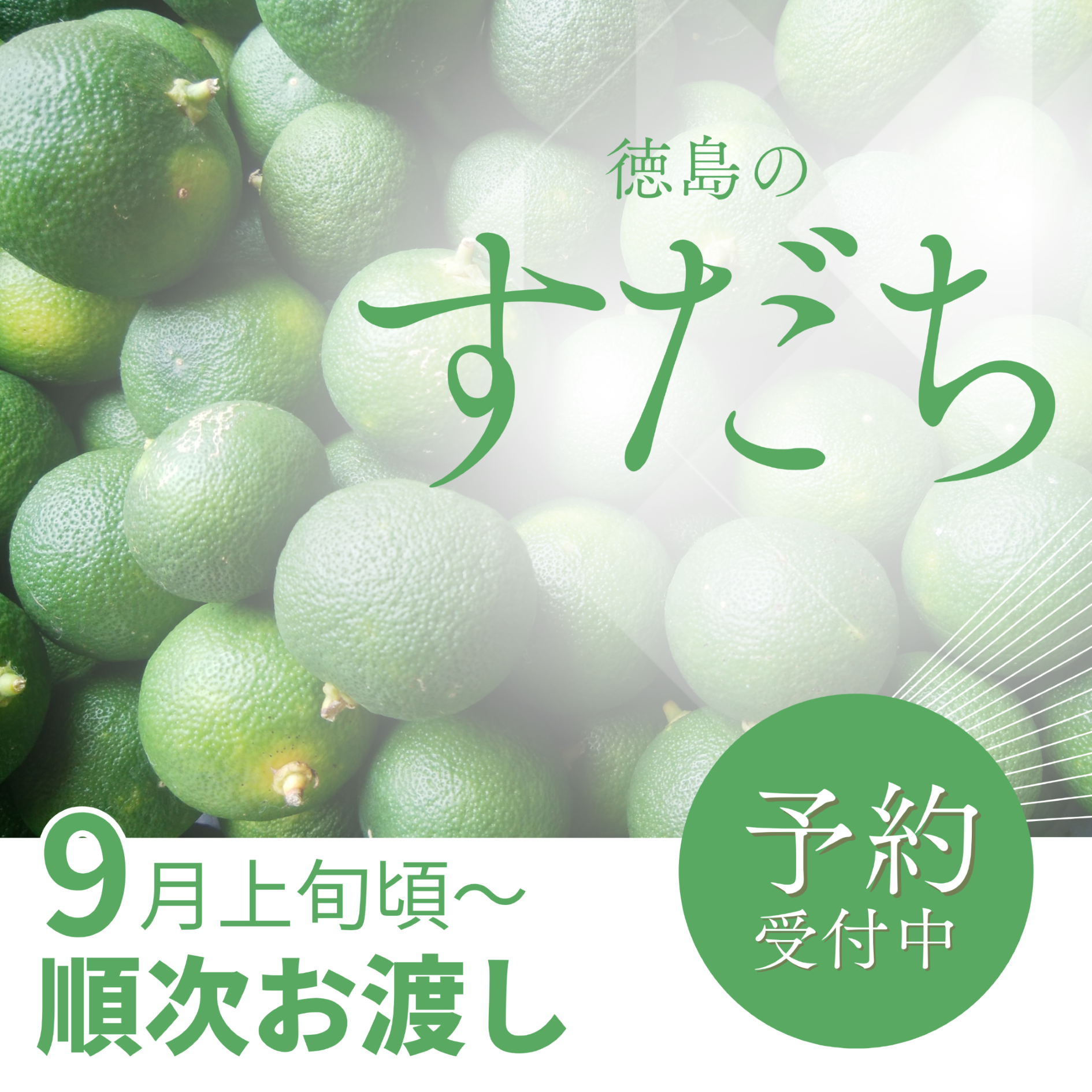 【予約受付スタート】徳島県産「徳島すだち」ご予約受付中！