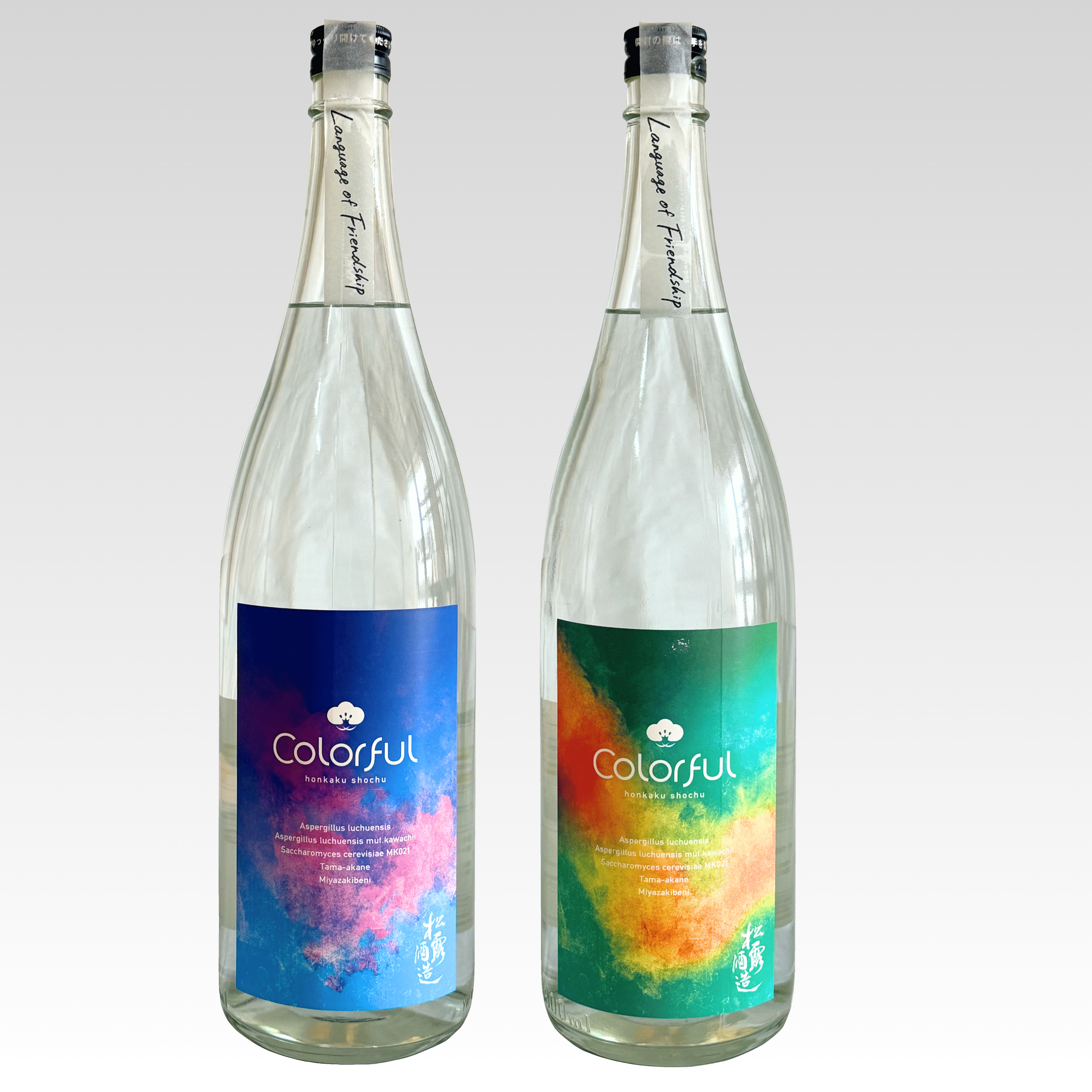 【店舗限定】三月の限定酒、入荷しました