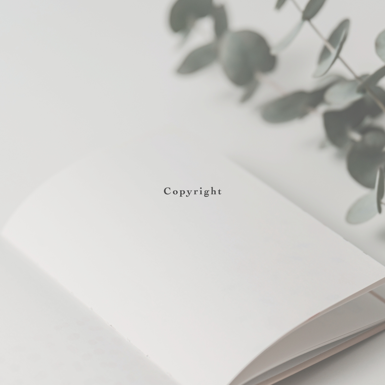 Notice｜著作権について