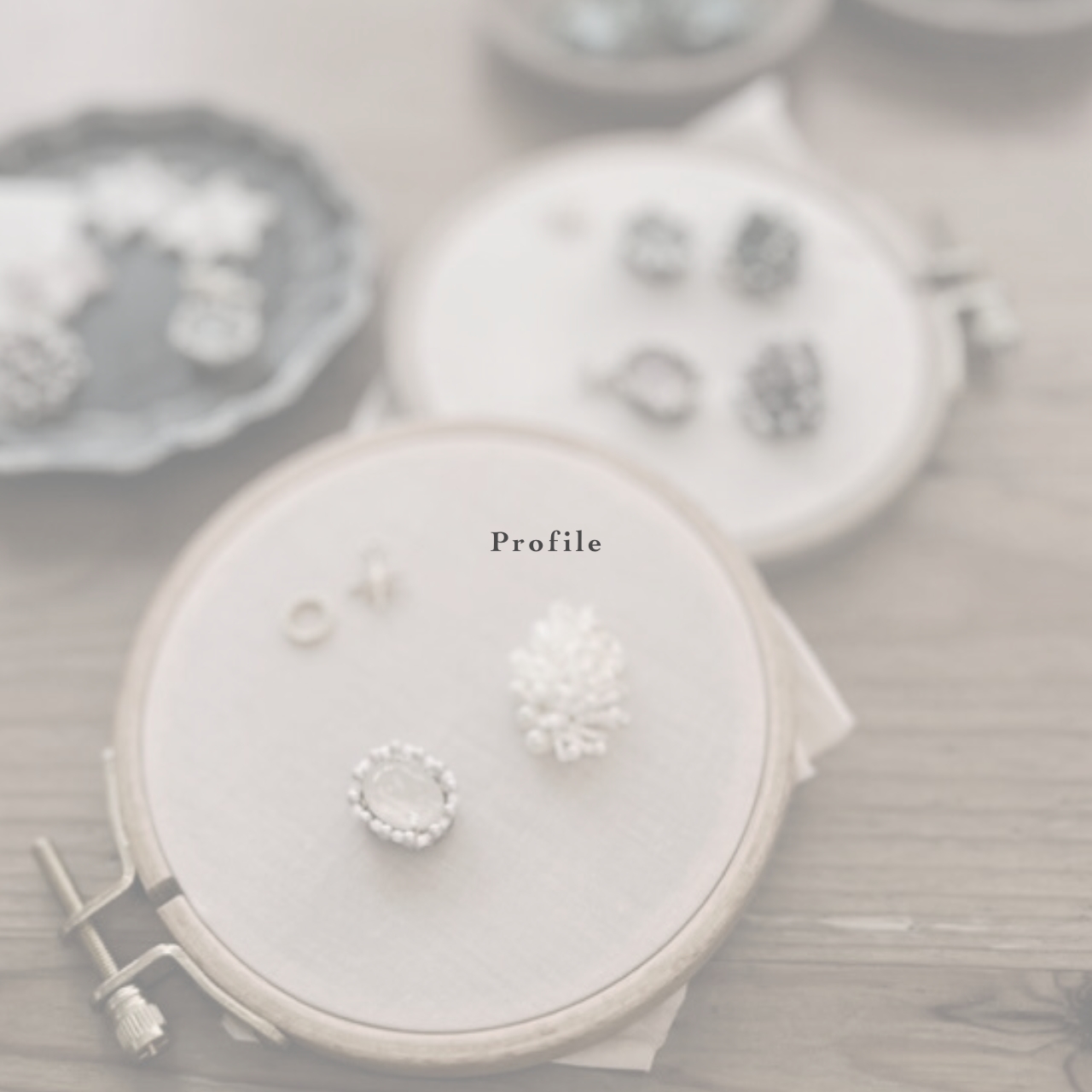 Profile｜SNOLETについて