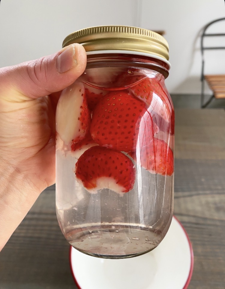 酵母lesson 初級編