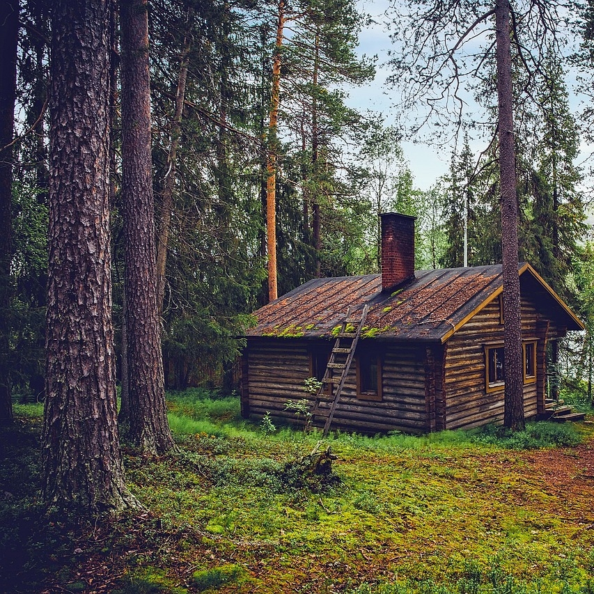 Bear's Forest 〜森で出会った仲間たち〜