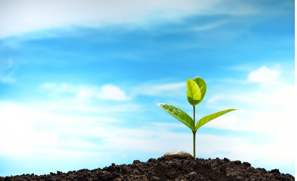 子どもの心に届く言葉がけとは