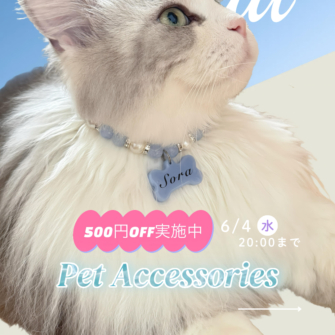 500円OFFセール実施中！！！