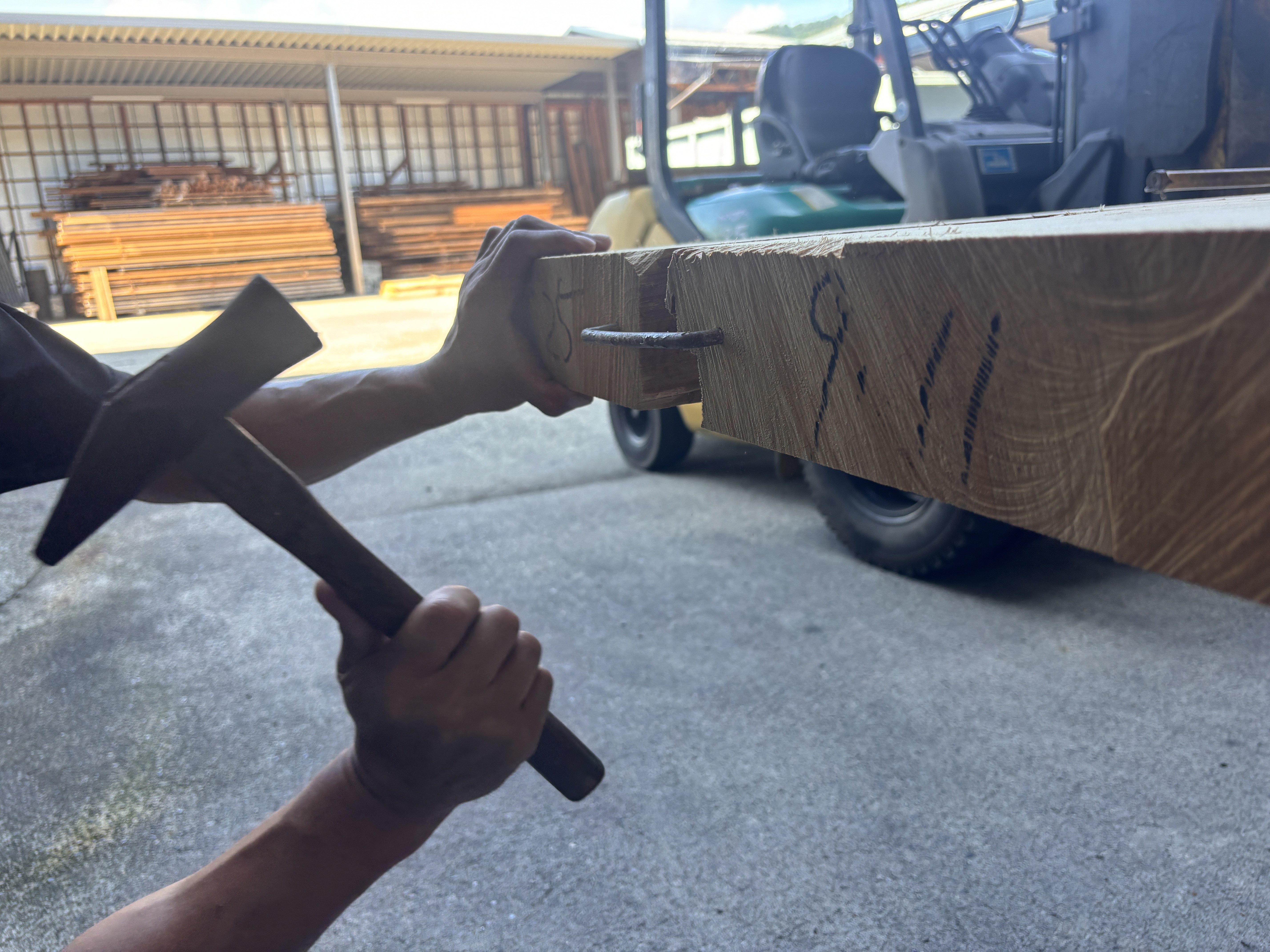 ぎんなんの木 かすがい