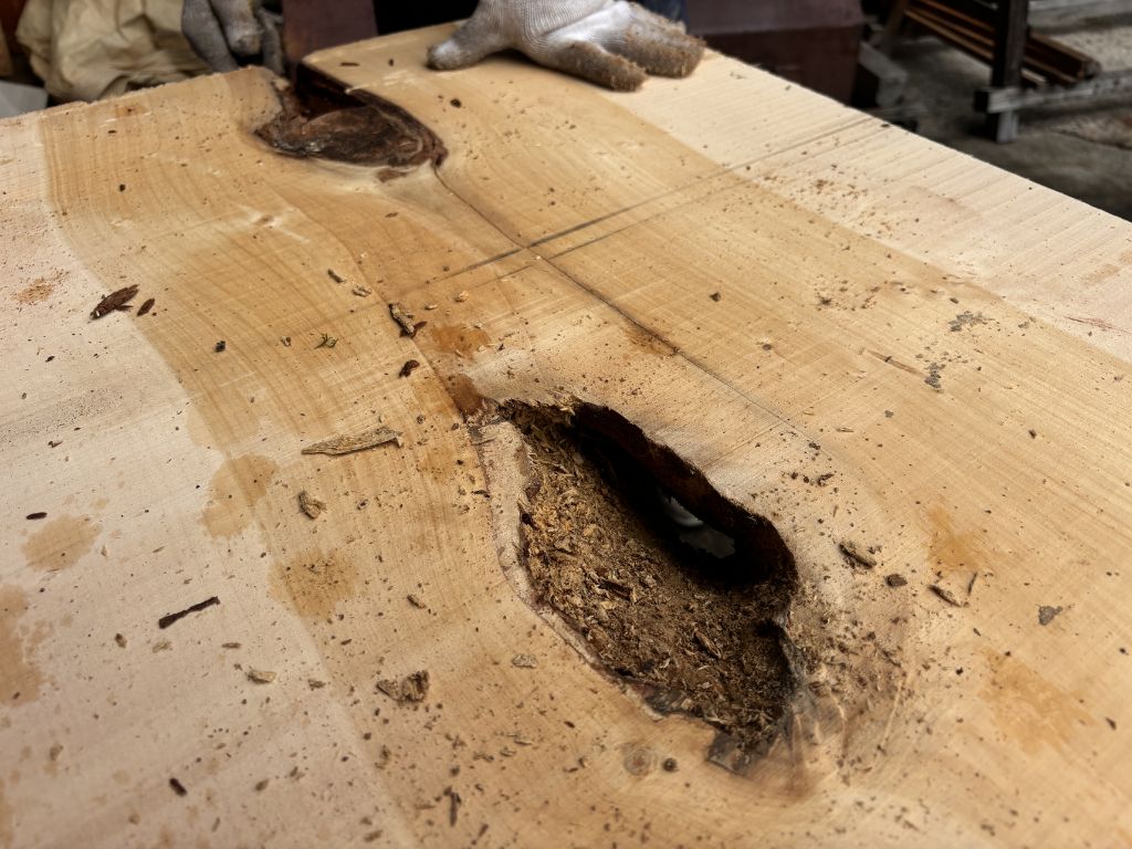 ぎんなんの木 腐り