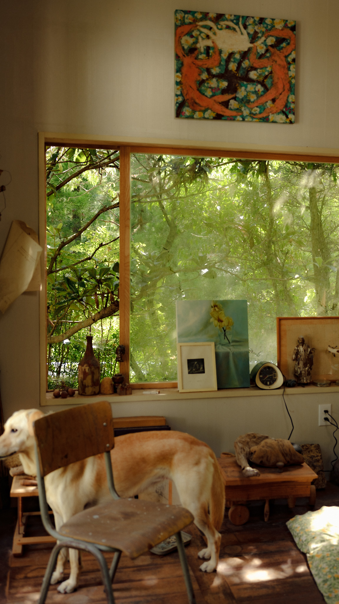 うつくしい犬小屋。