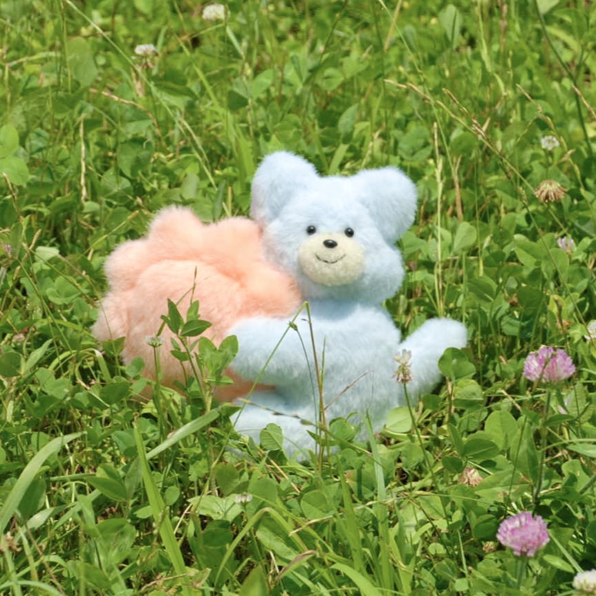 お迎えいただいた方へ☘️