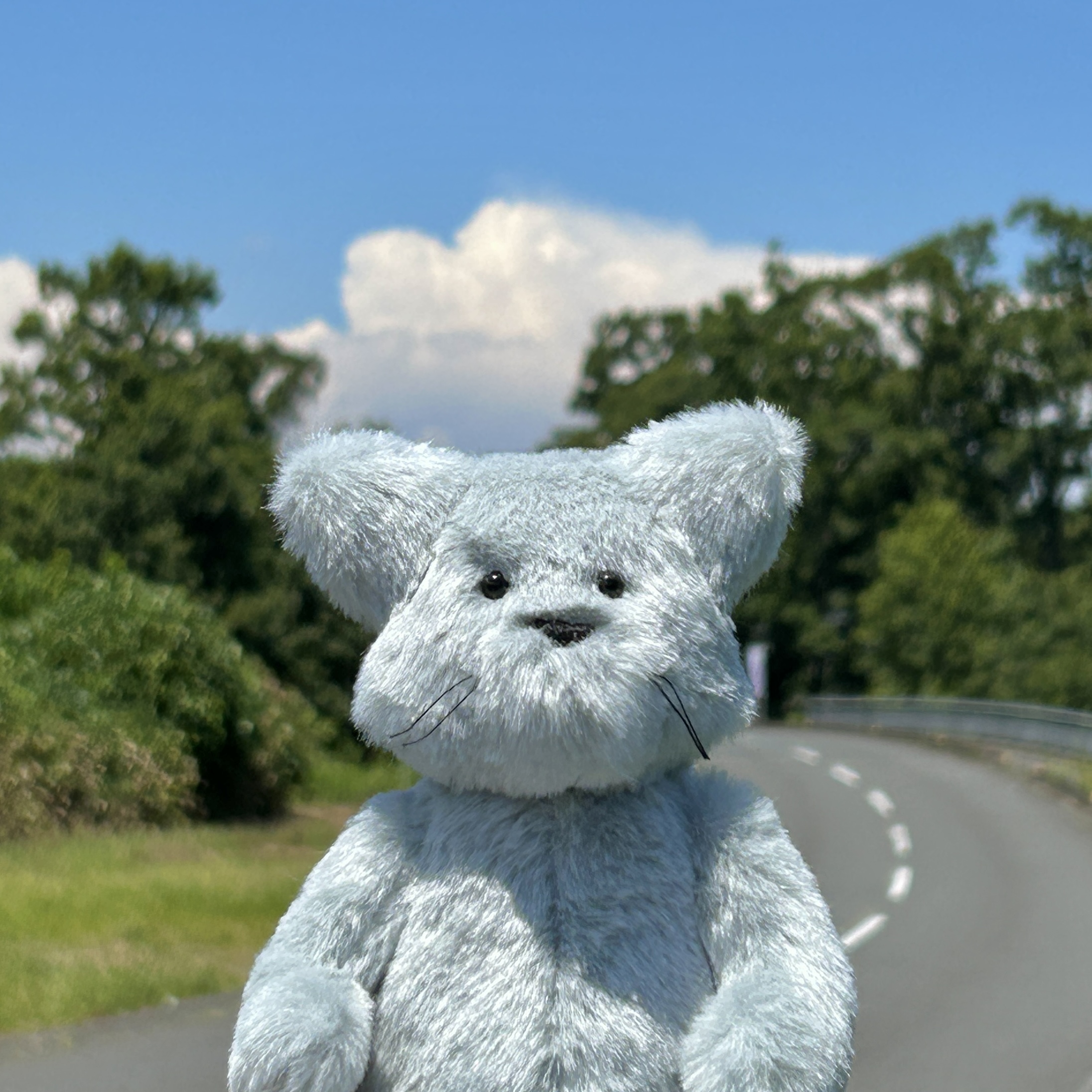 「すこやかさ」とは何かを考える｜作家のつぶやき