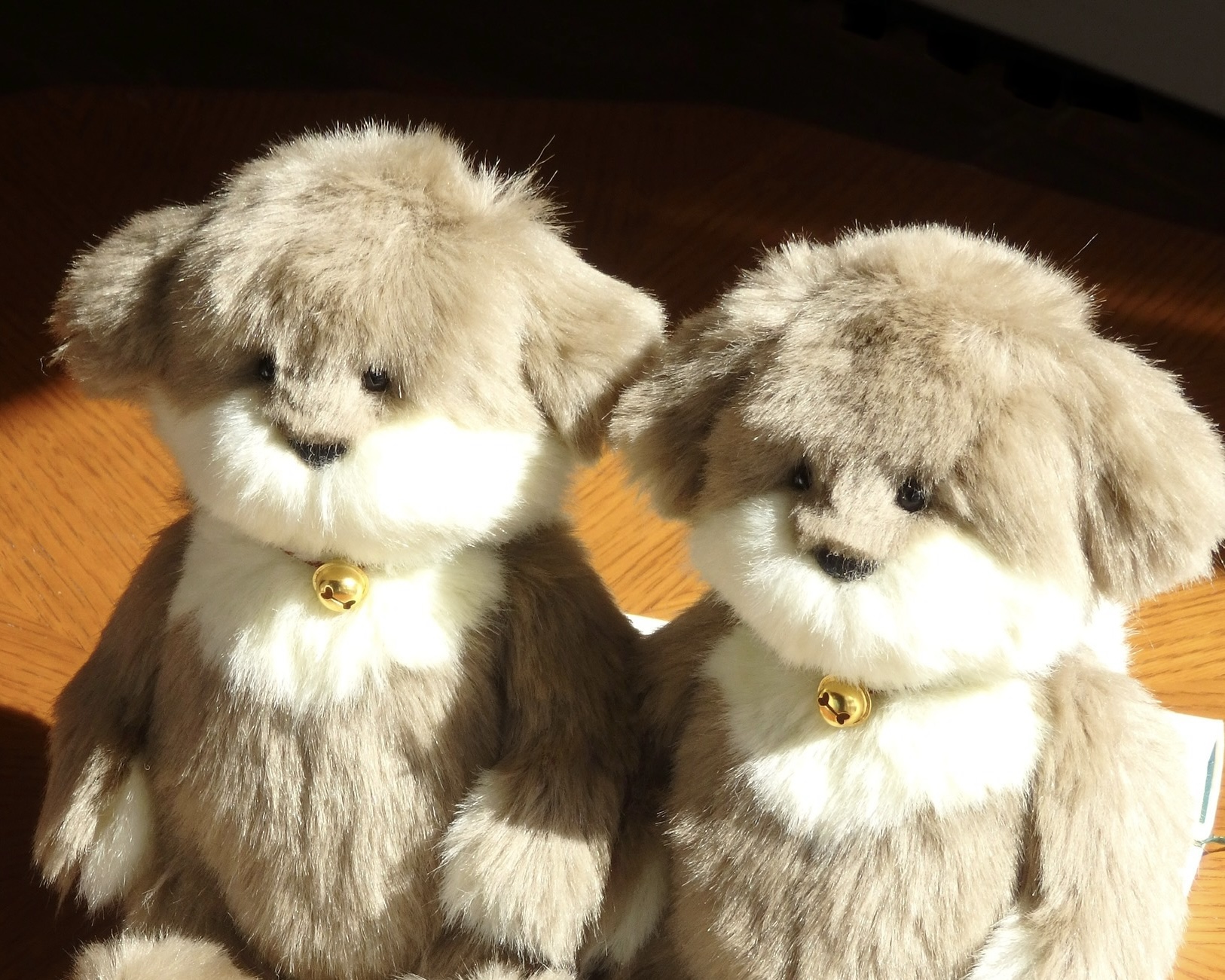 POPUPのお知らせ｜京都高島屋S.C nuunu KYOTO「オンリーワン展」