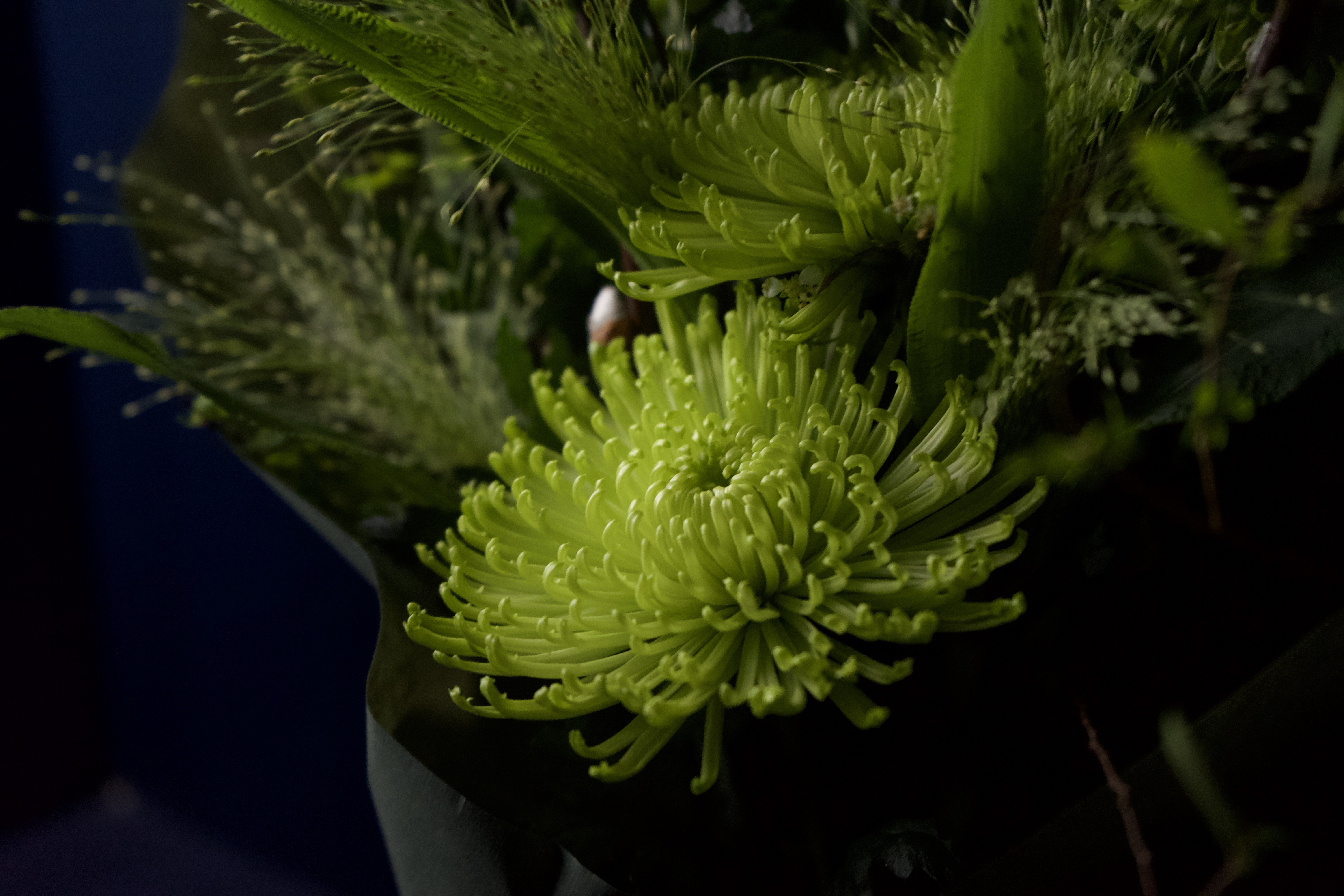 緑の花がある暮らし。-1月お届けの花材紹介-