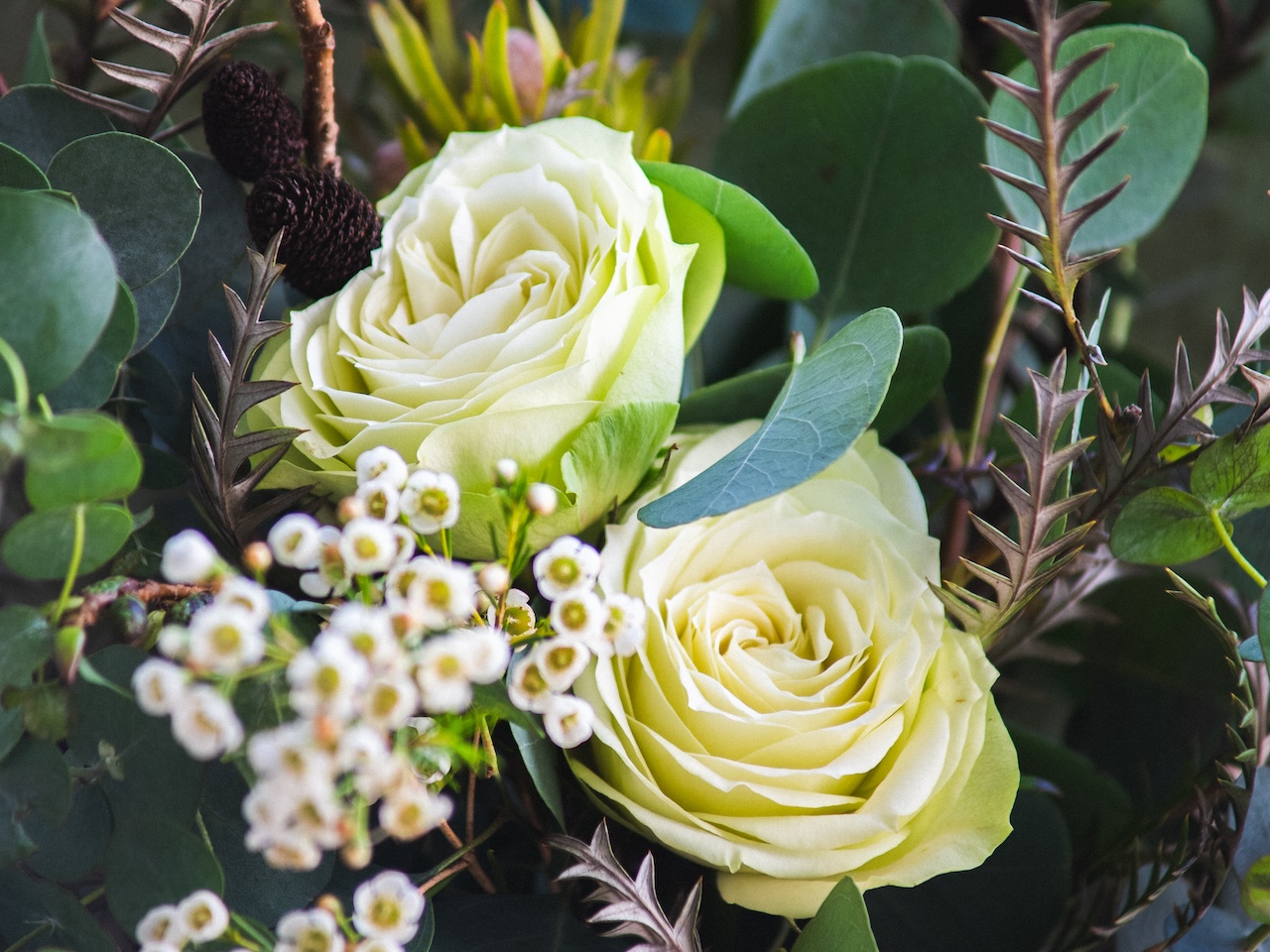 緑の花がある暮らし。-11月お届けの花材紹介-