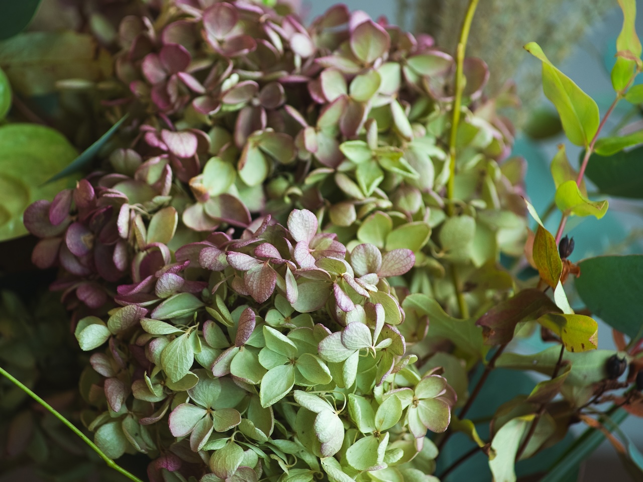 緑の花がある暮らし。-10月お届けの花材紹介-