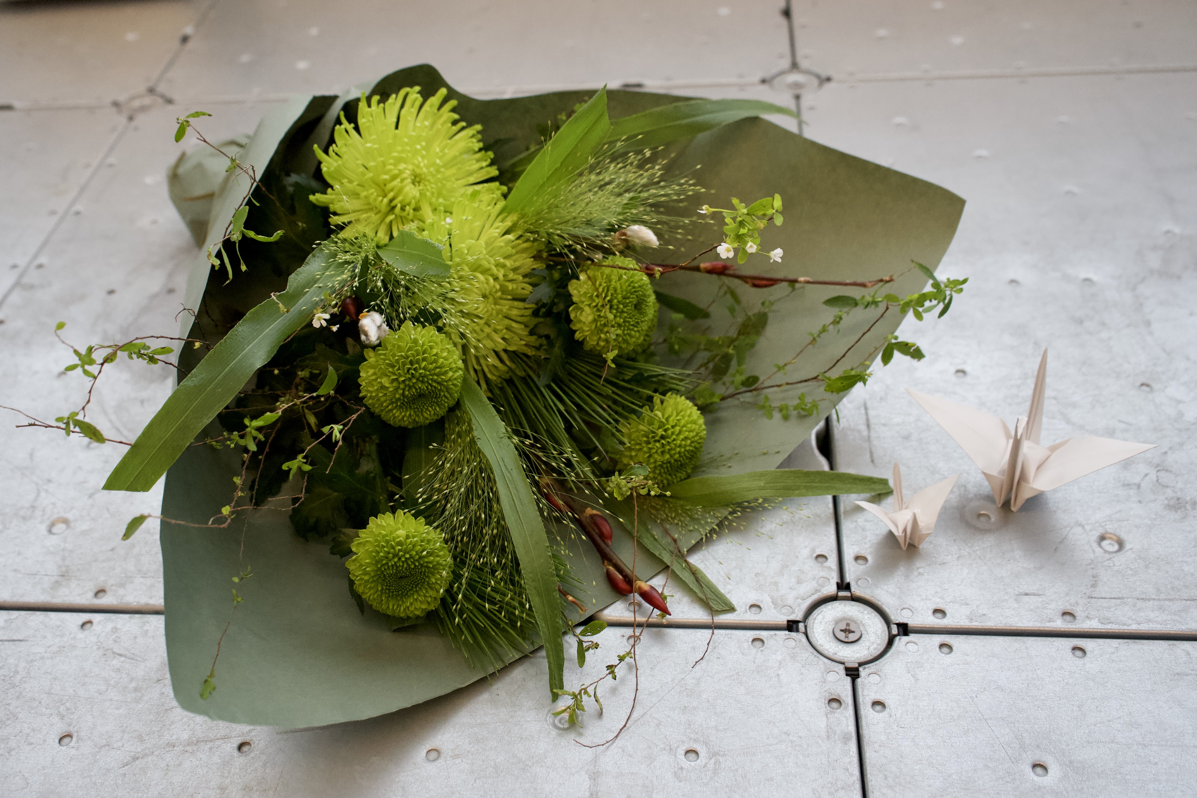 緑の花がある暮らし。-1月お届けのお花のおすすめの飾り方-