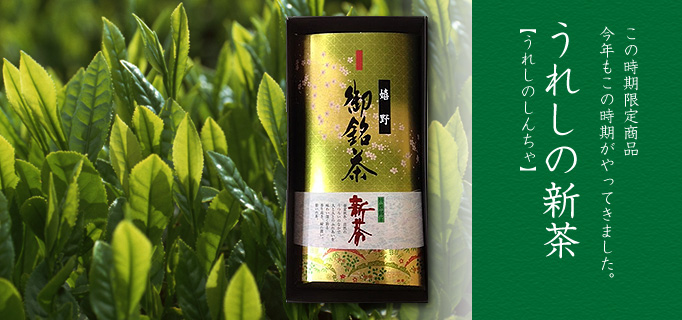 2025年 新茶の販売を開始しました