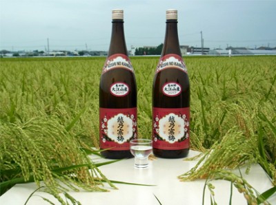 地域限定　越乃寒梅　特別本醸造　「亀田郷大江山産」　1800ｍｌ　入荷！
