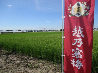 稲田酒店BASE店　新規オープンしました！