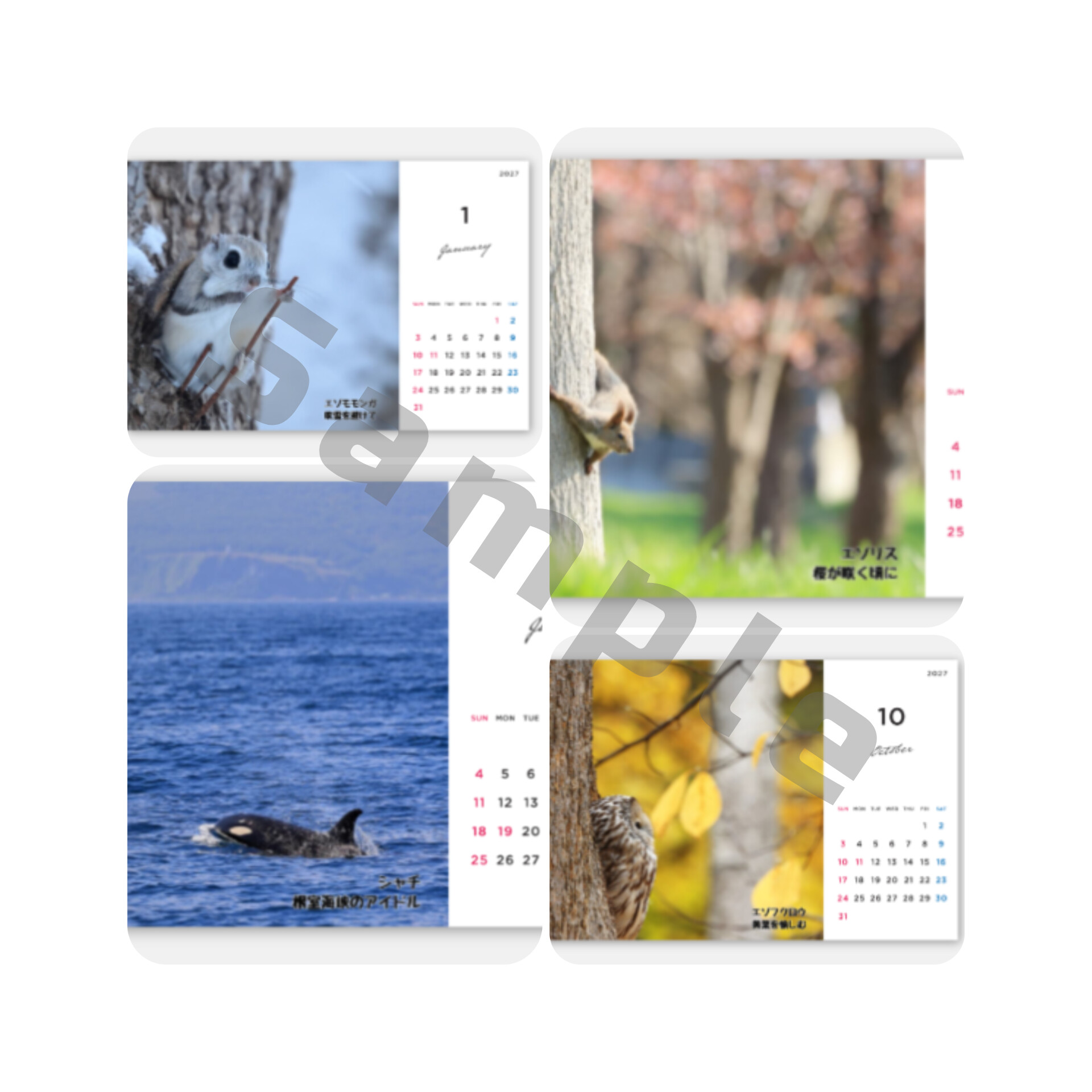 2027年カレンダー予約販売中🗓️