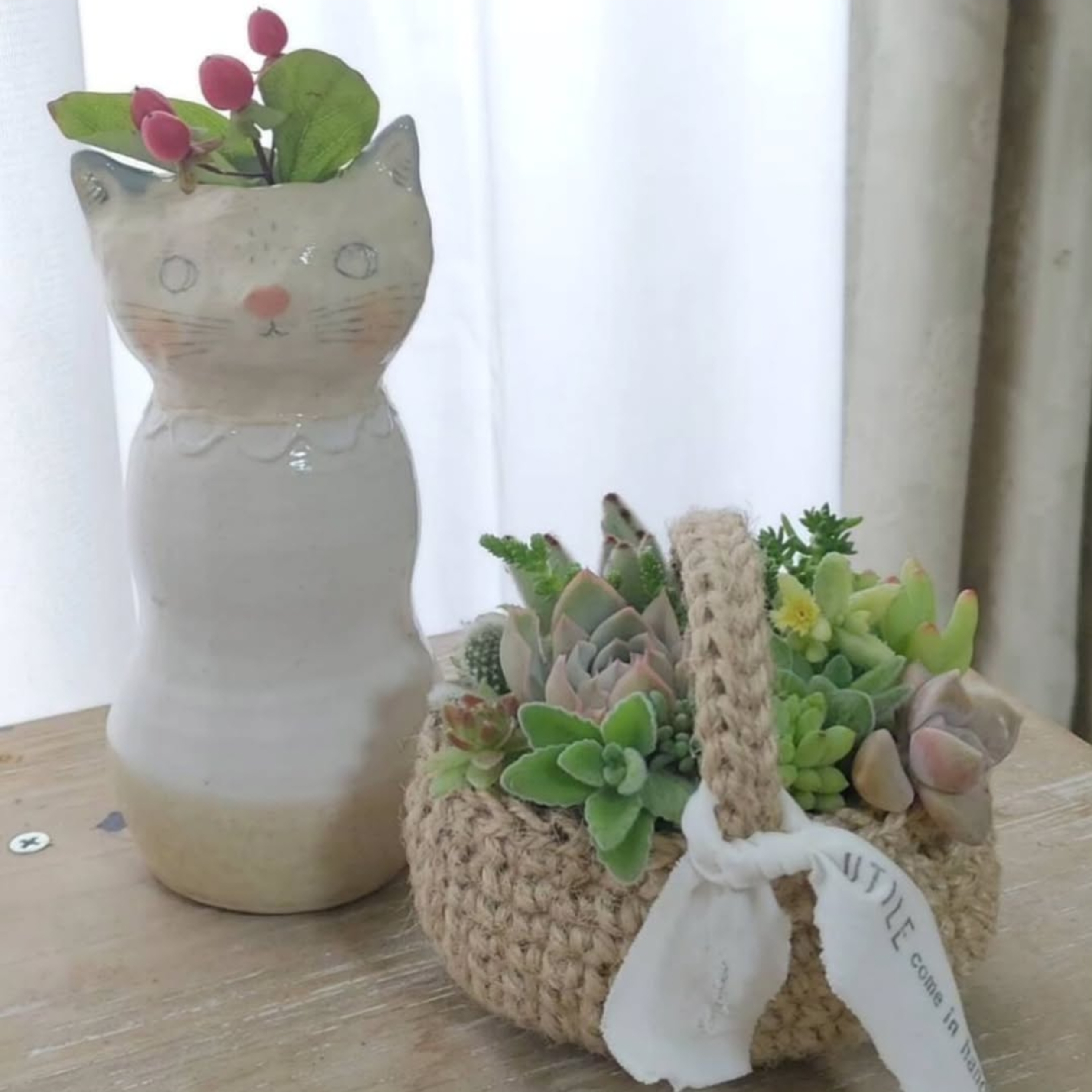 多肉植物の寄せ植えに、麻紐かごが選ばれる理由
