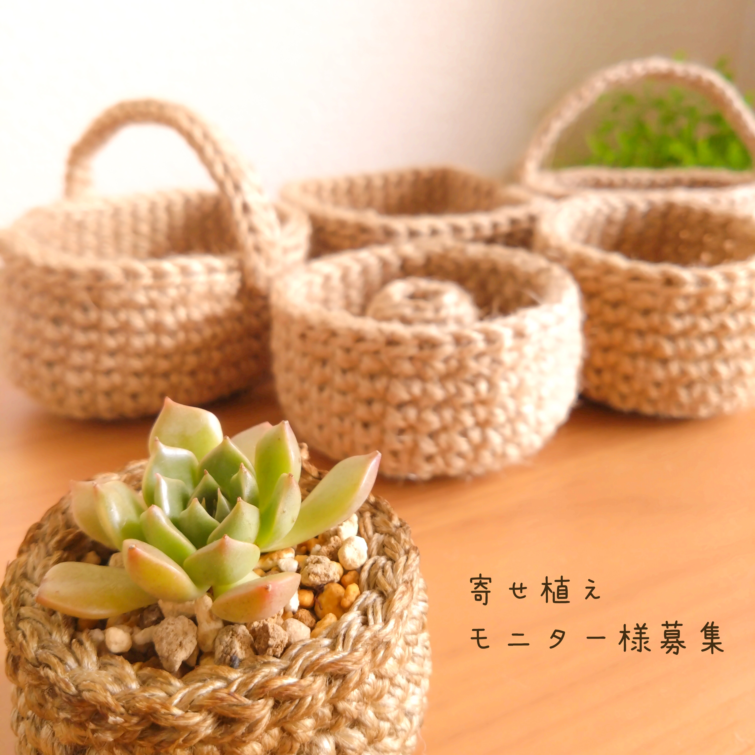 🌱ミニかご多肉寄せ植えモニター募集🌱