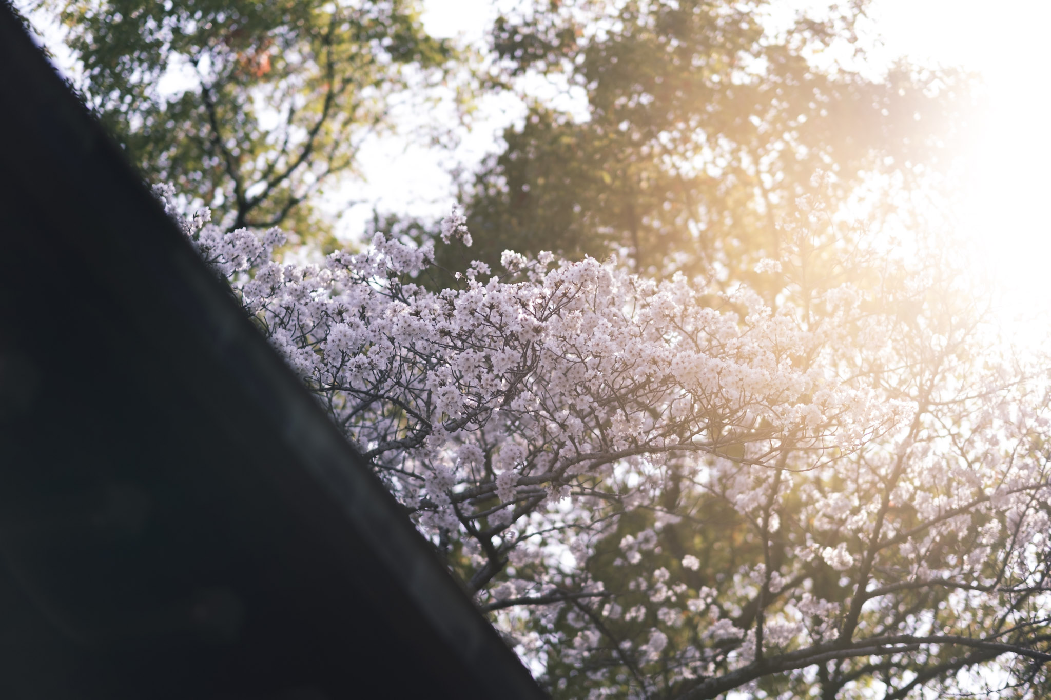 4月前半のスケジュールについて