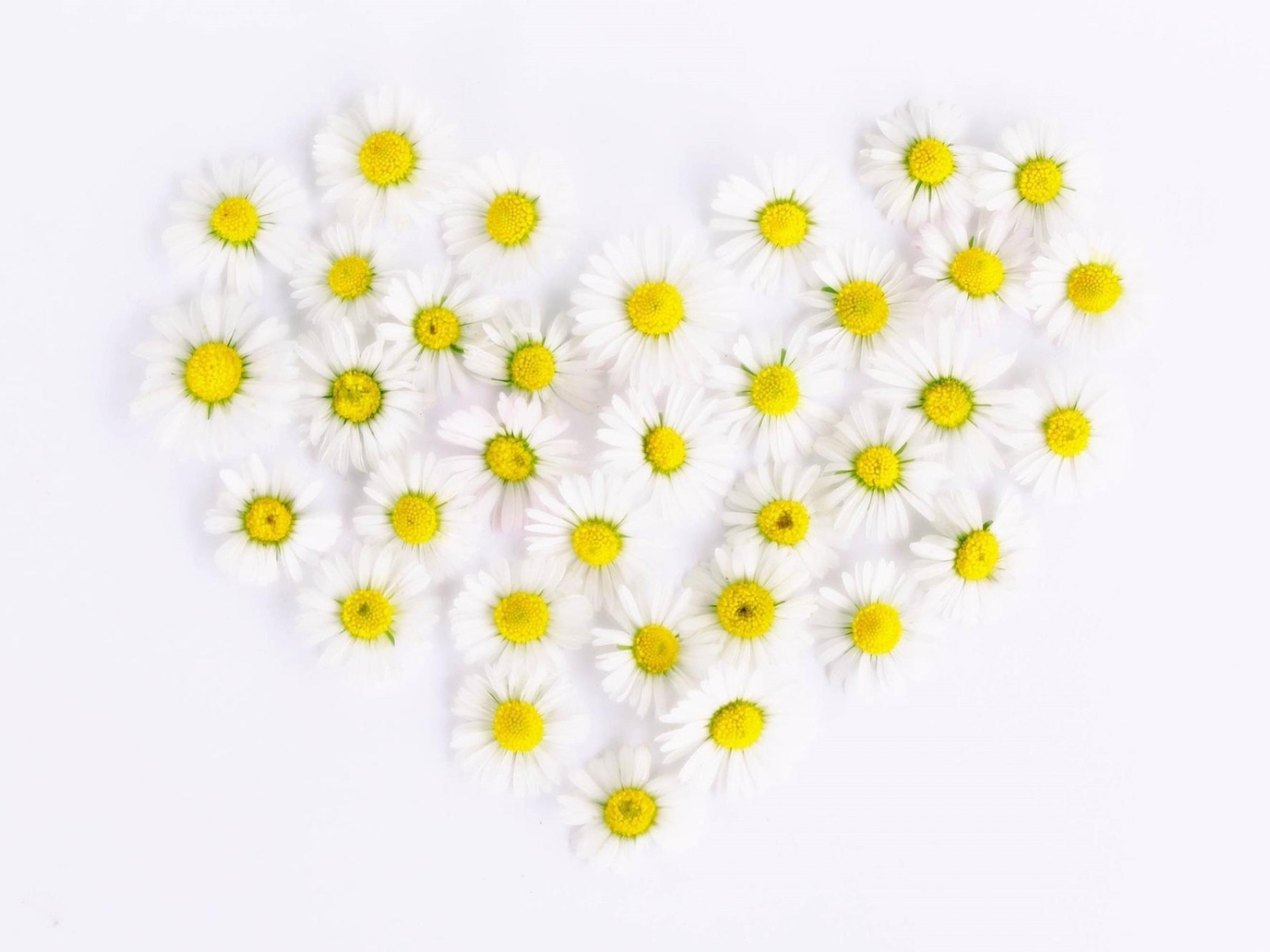 安心してお買い物いただくために