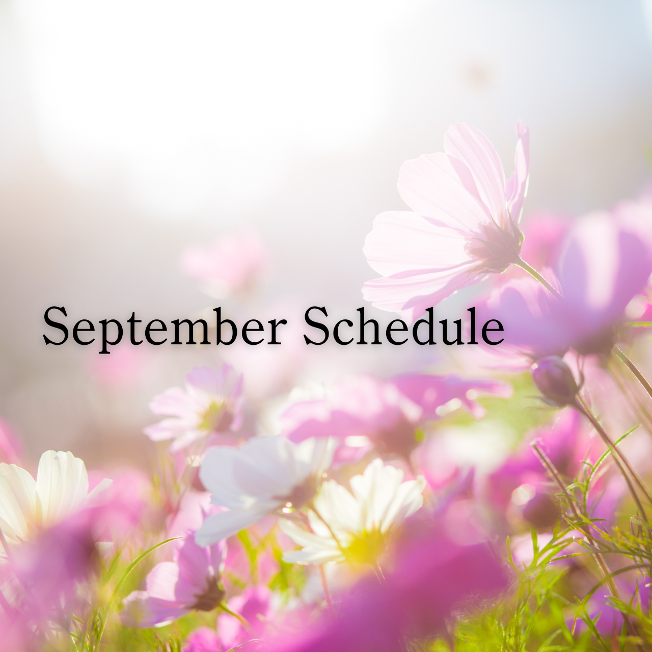 September Schedule ˳✧༚