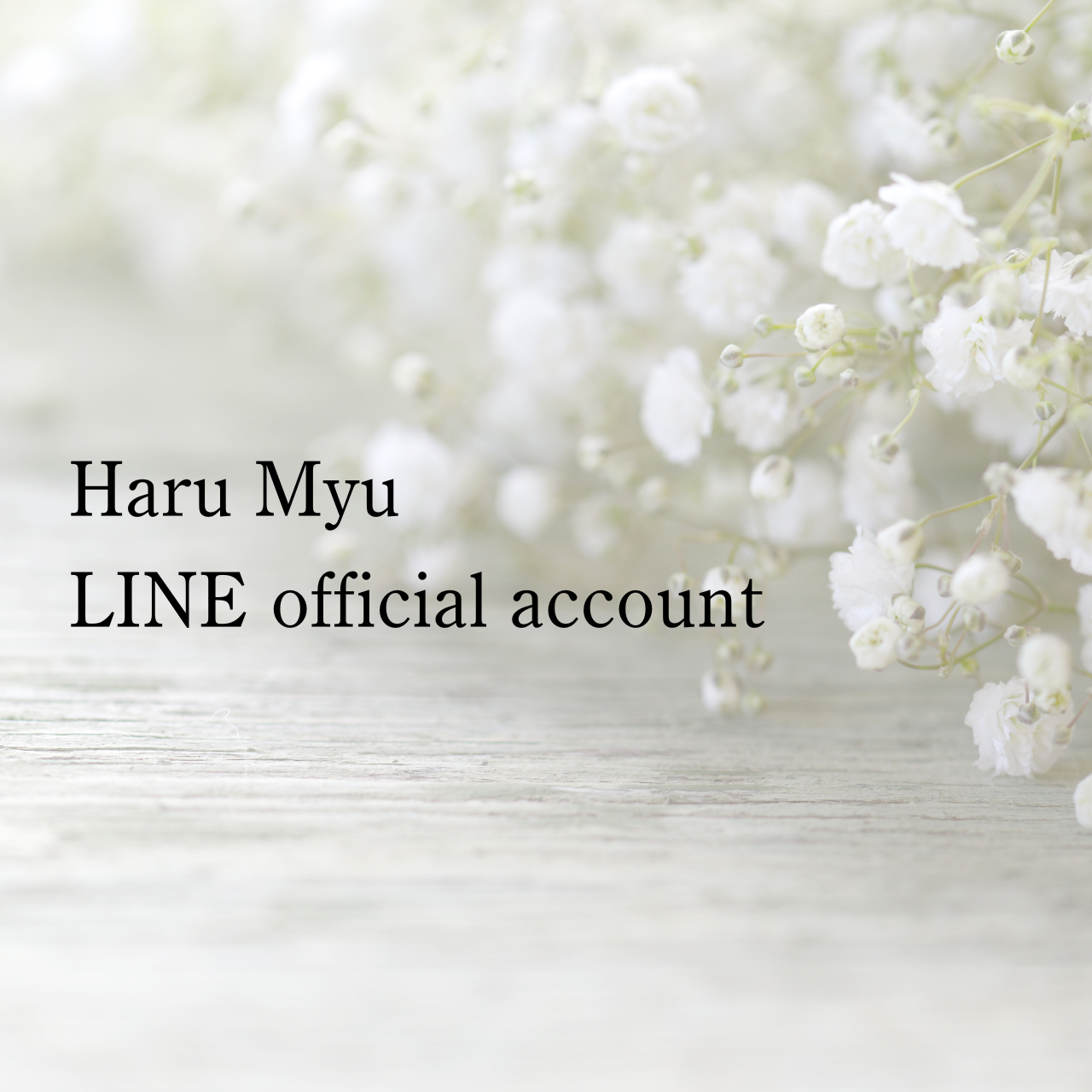 公式LINEはじめました ✉︎ˎˊ˗