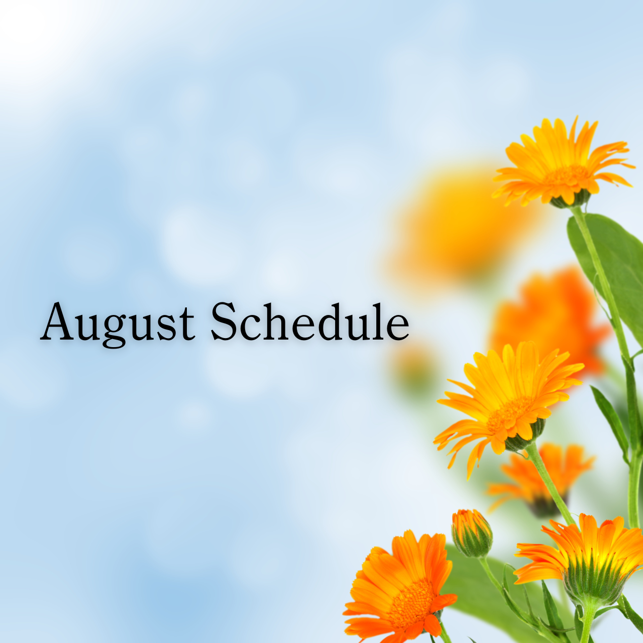 August Schedule ˳✧༚