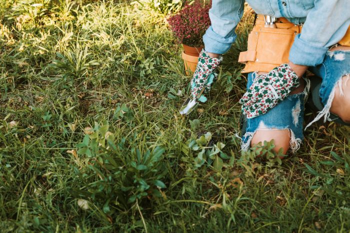 「抜いても抜いてもキリがない…」夏の雑草対策はプロにお任せ！