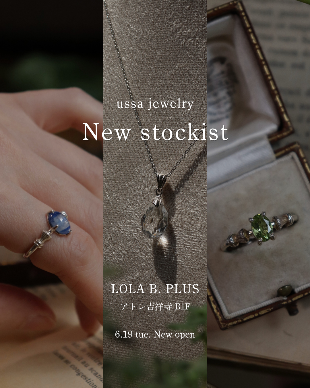 【吉祥寺】LOLA B. PLUSお取り扱いスタート!
