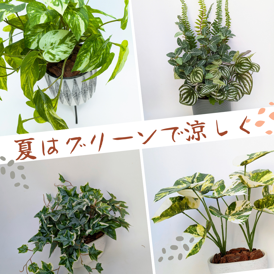 夏は観葉植物のフェイクグリーンがおすすめ