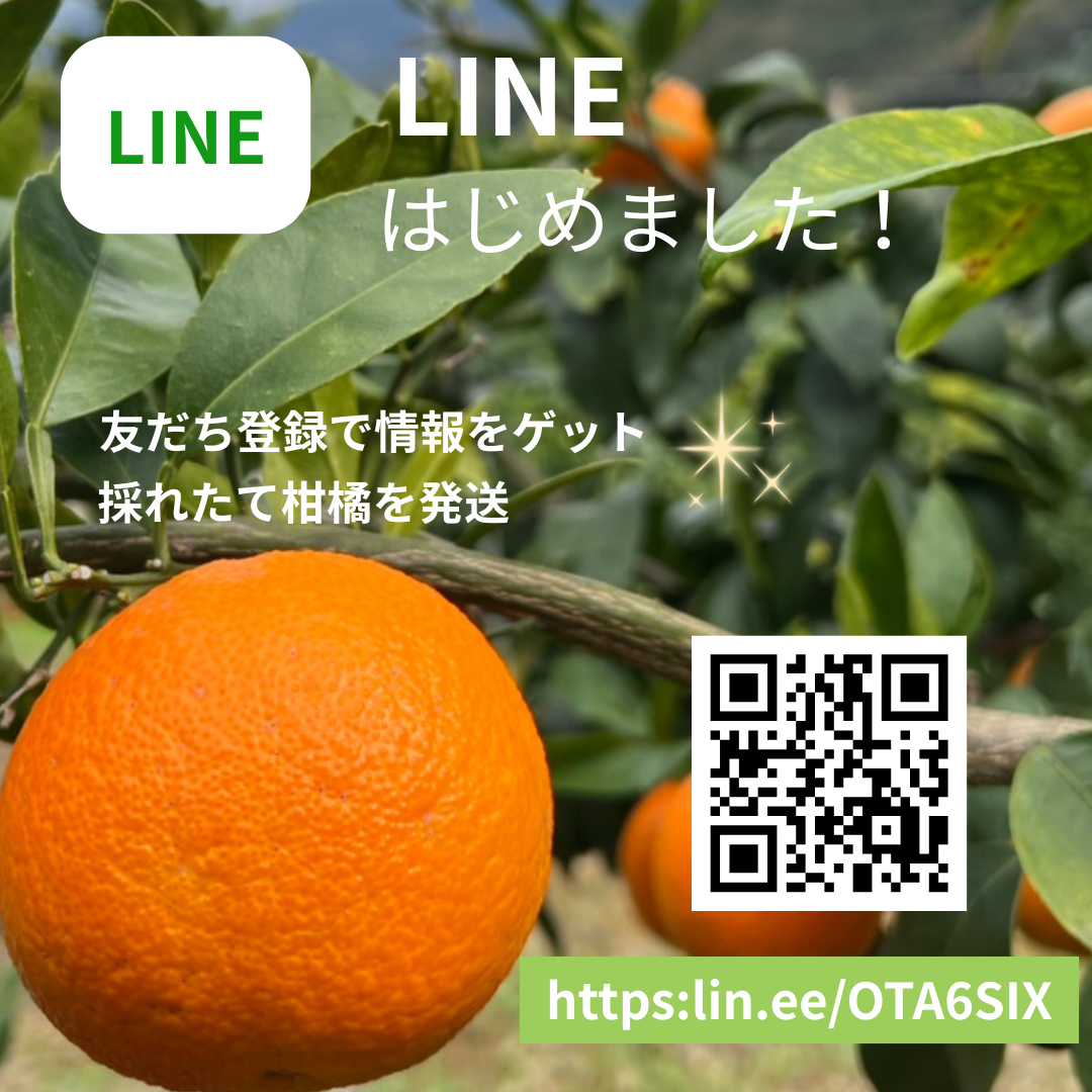 LINEはじめました