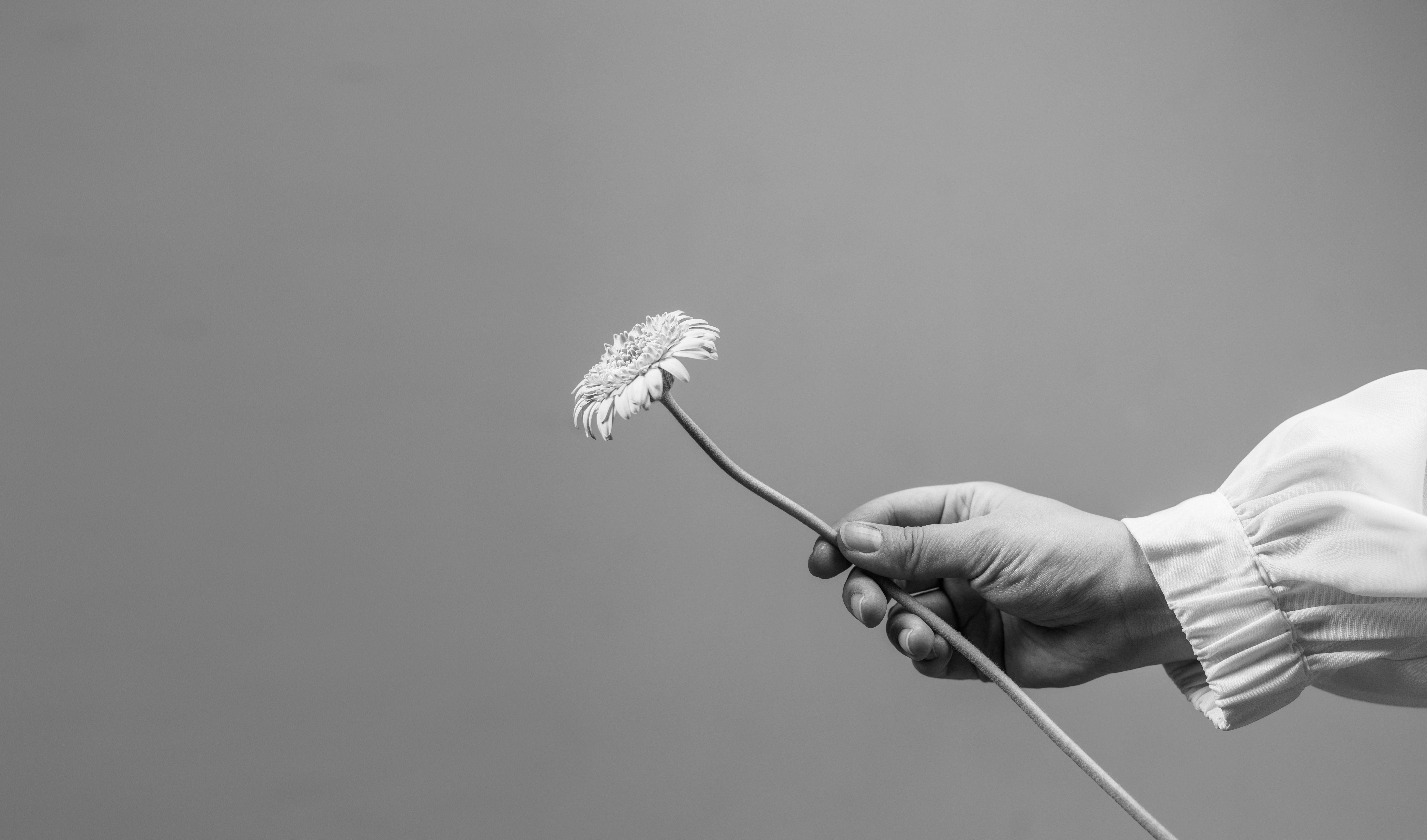 一輪の花