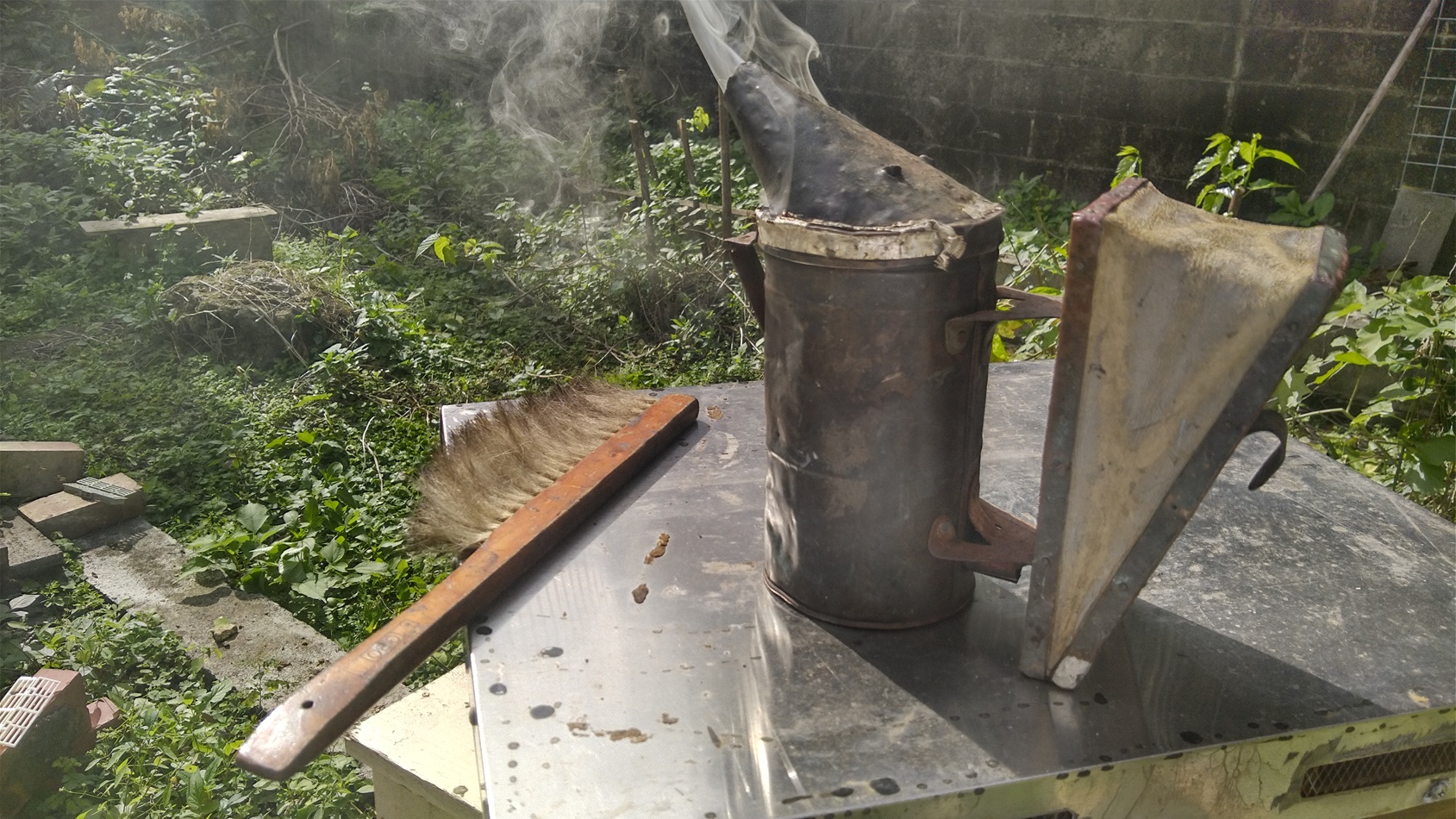 雨が降ったそのあとは